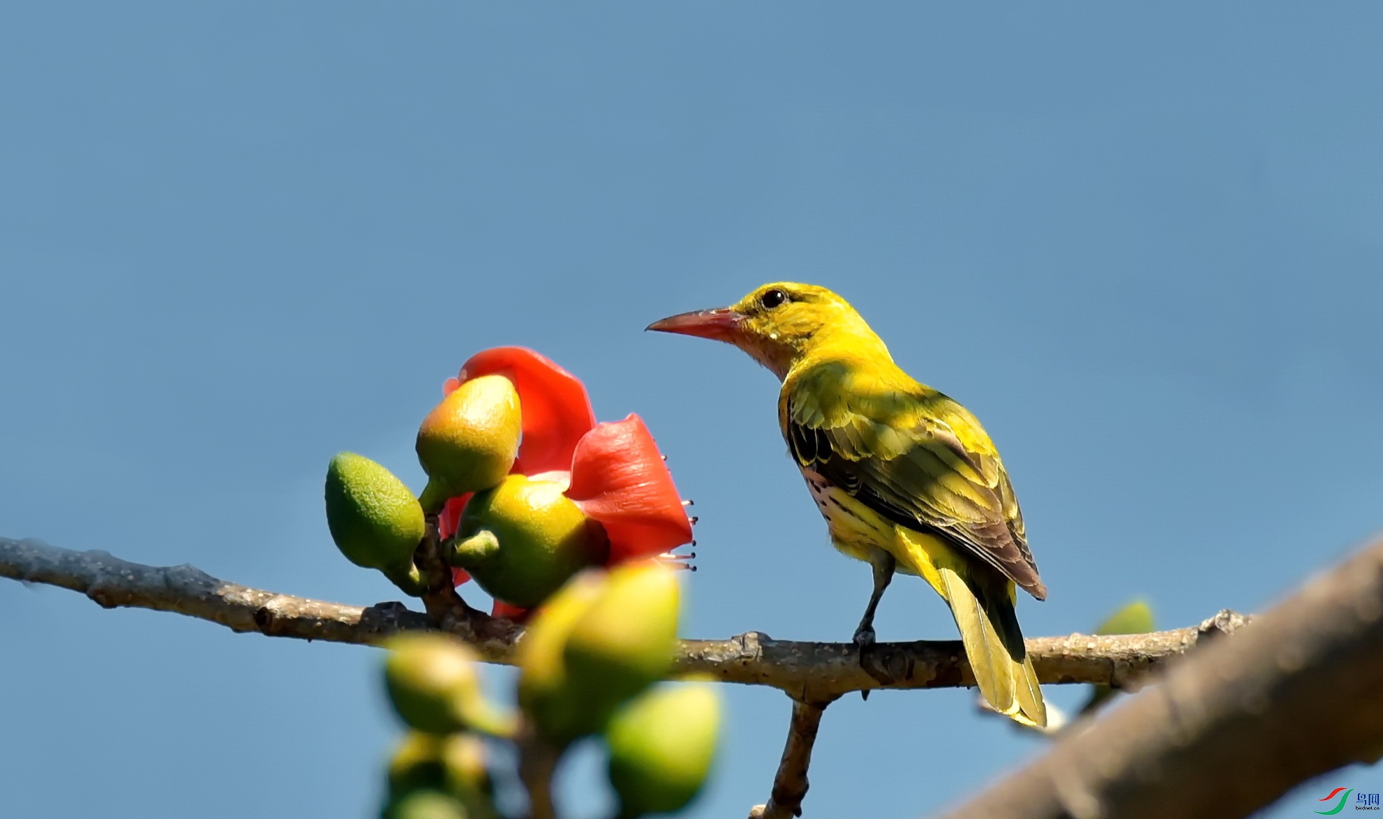 DSC_7264a.JPG