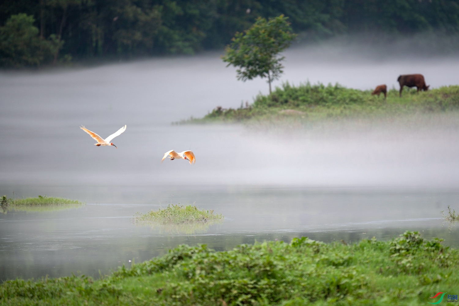 DSC_9039_����.jpg