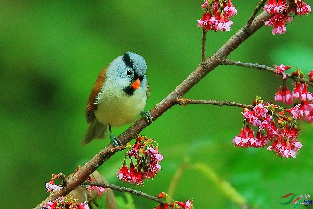 �����۽�  ��ʦ����������ʡ��ɽ��.jpg