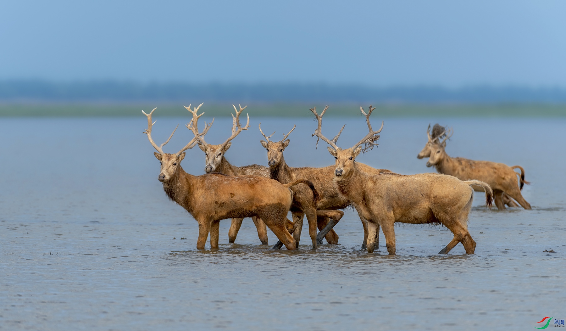 DSC_8283-1.jpg
