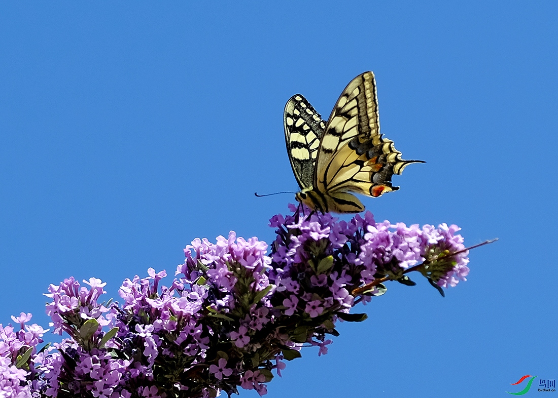 DSCF6301.JPG