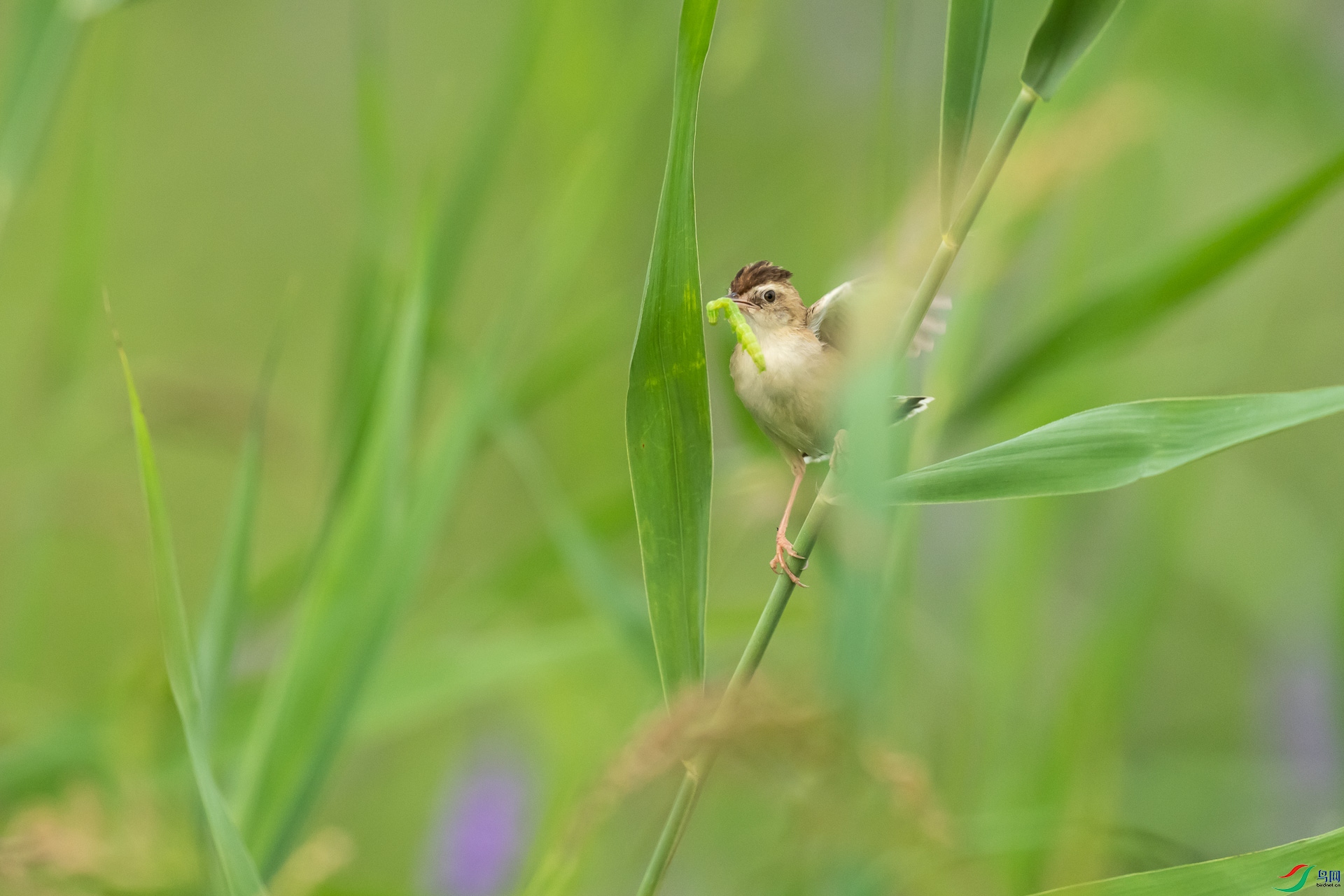 _DSC9985.jpg