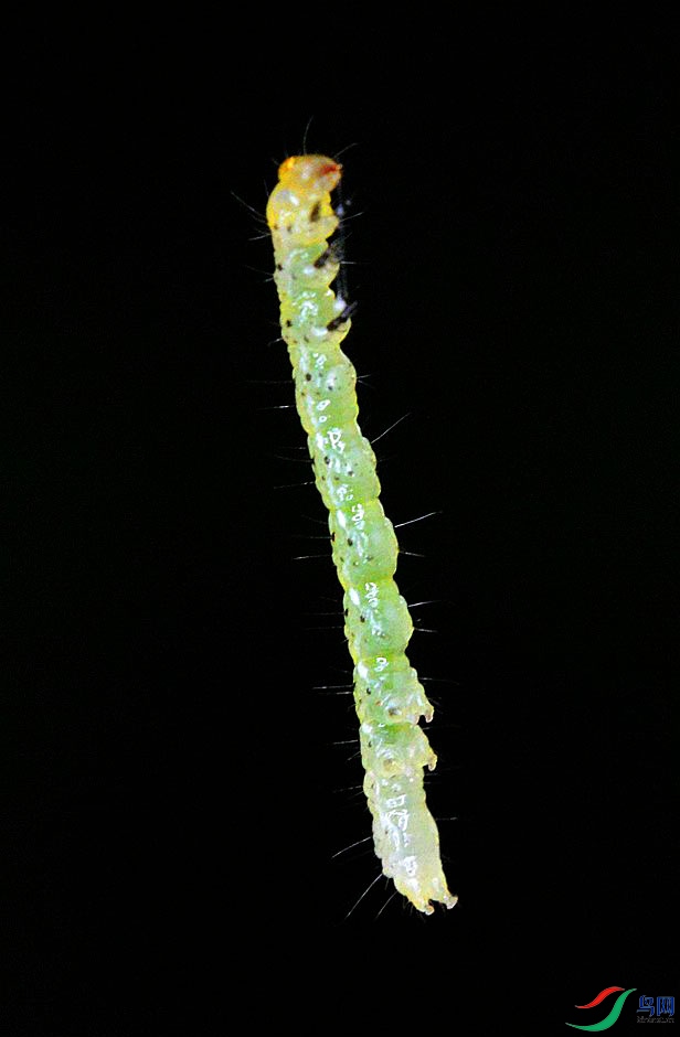 DSC_8295_����.jpg