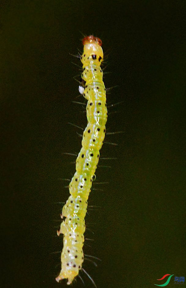 DSC_8292_����.jpg