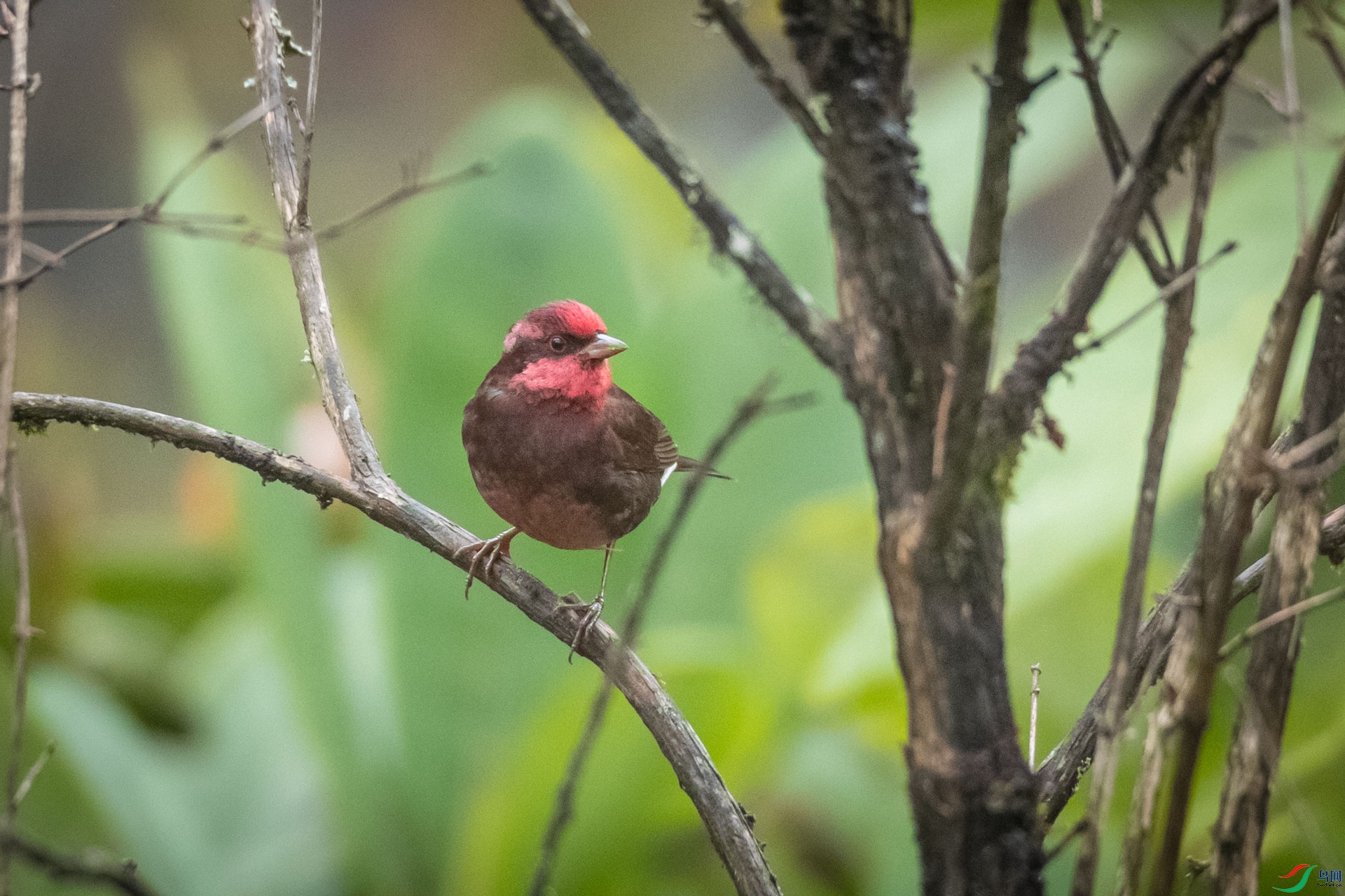 ������ȸ[��]