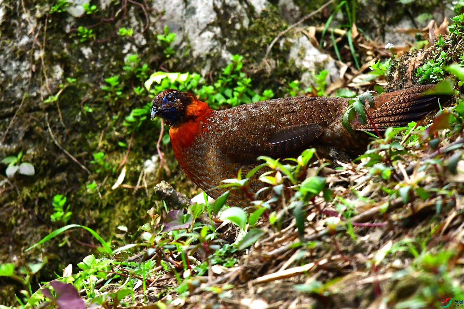 DSC_6825_����.jpg