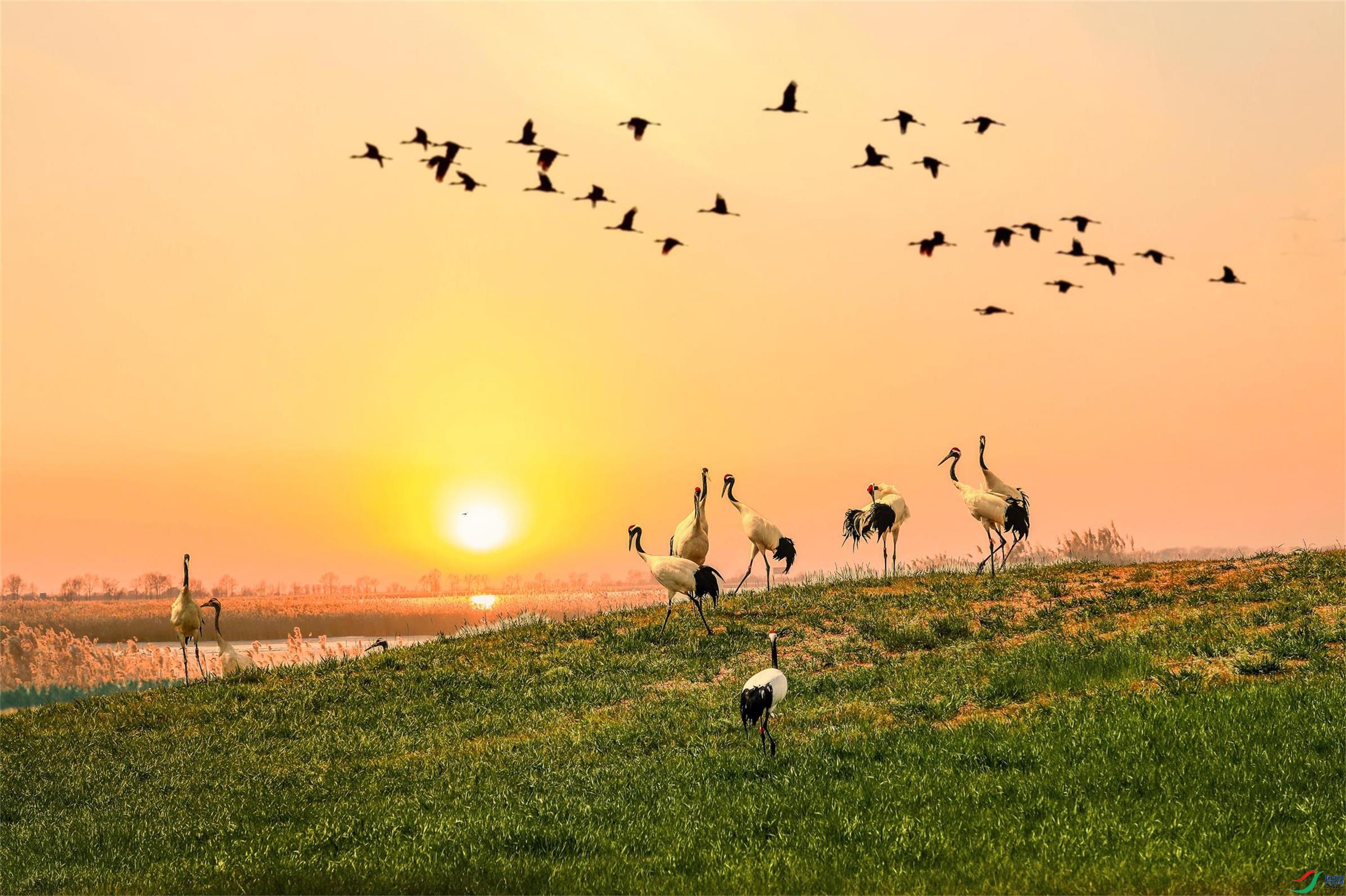 _70I5719=38    ����Ϧ����(1).jpg