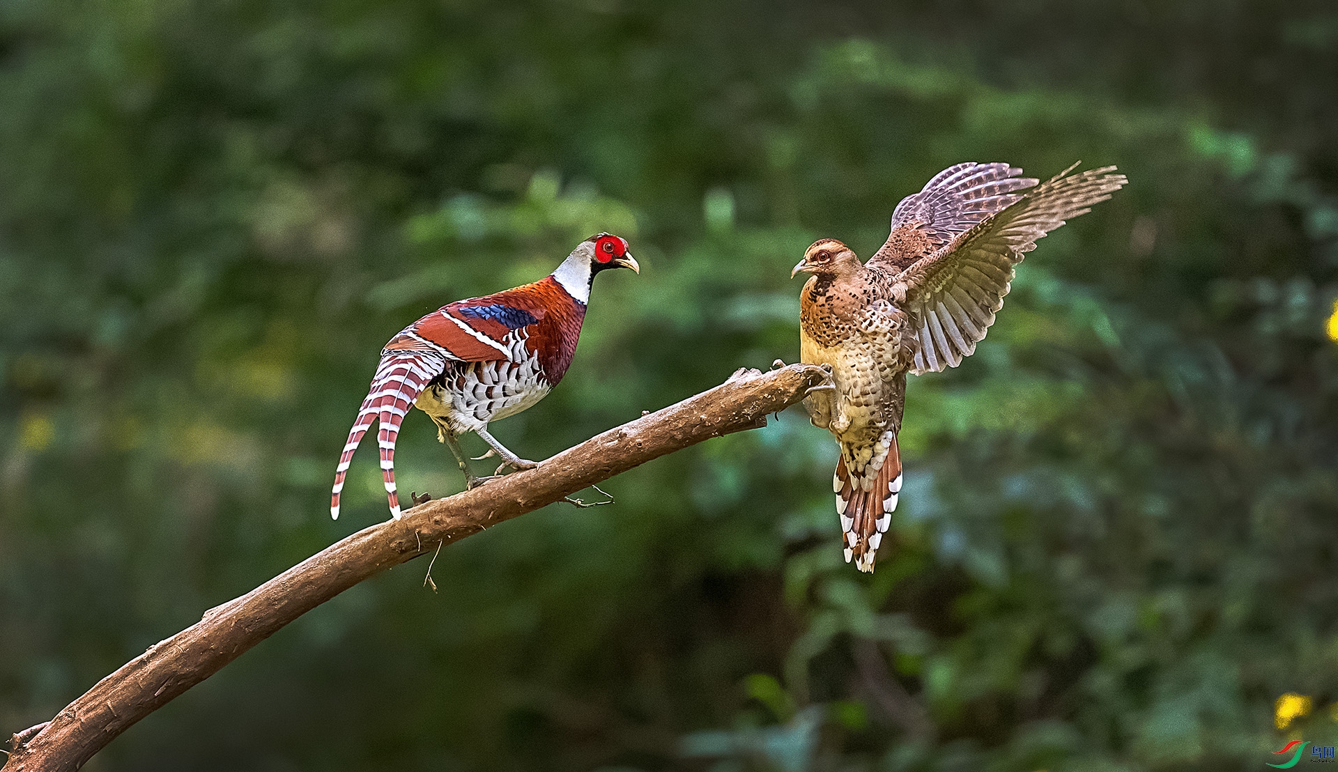 DSC_9456.jpg