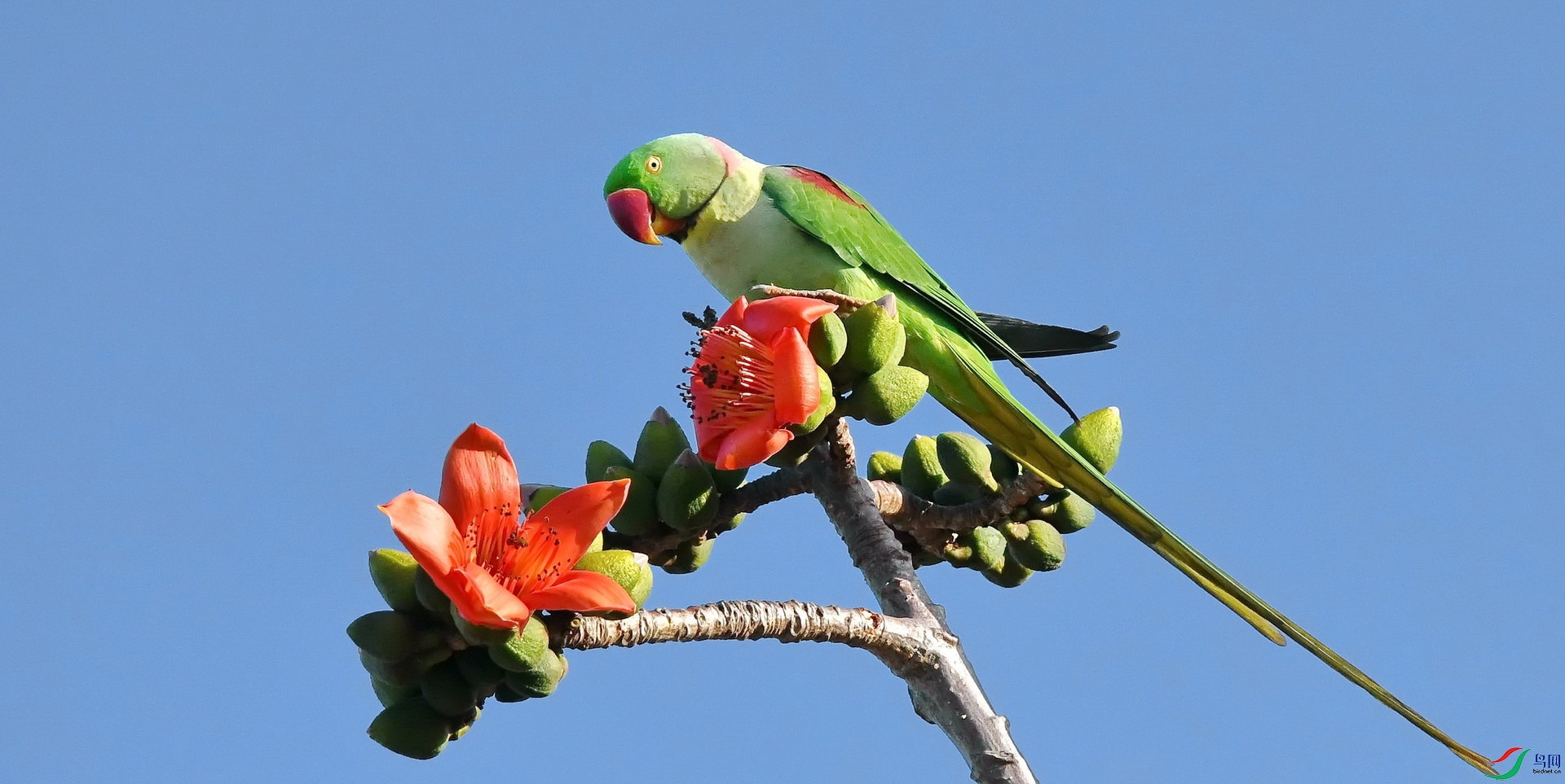 DSC_6669a.jpg