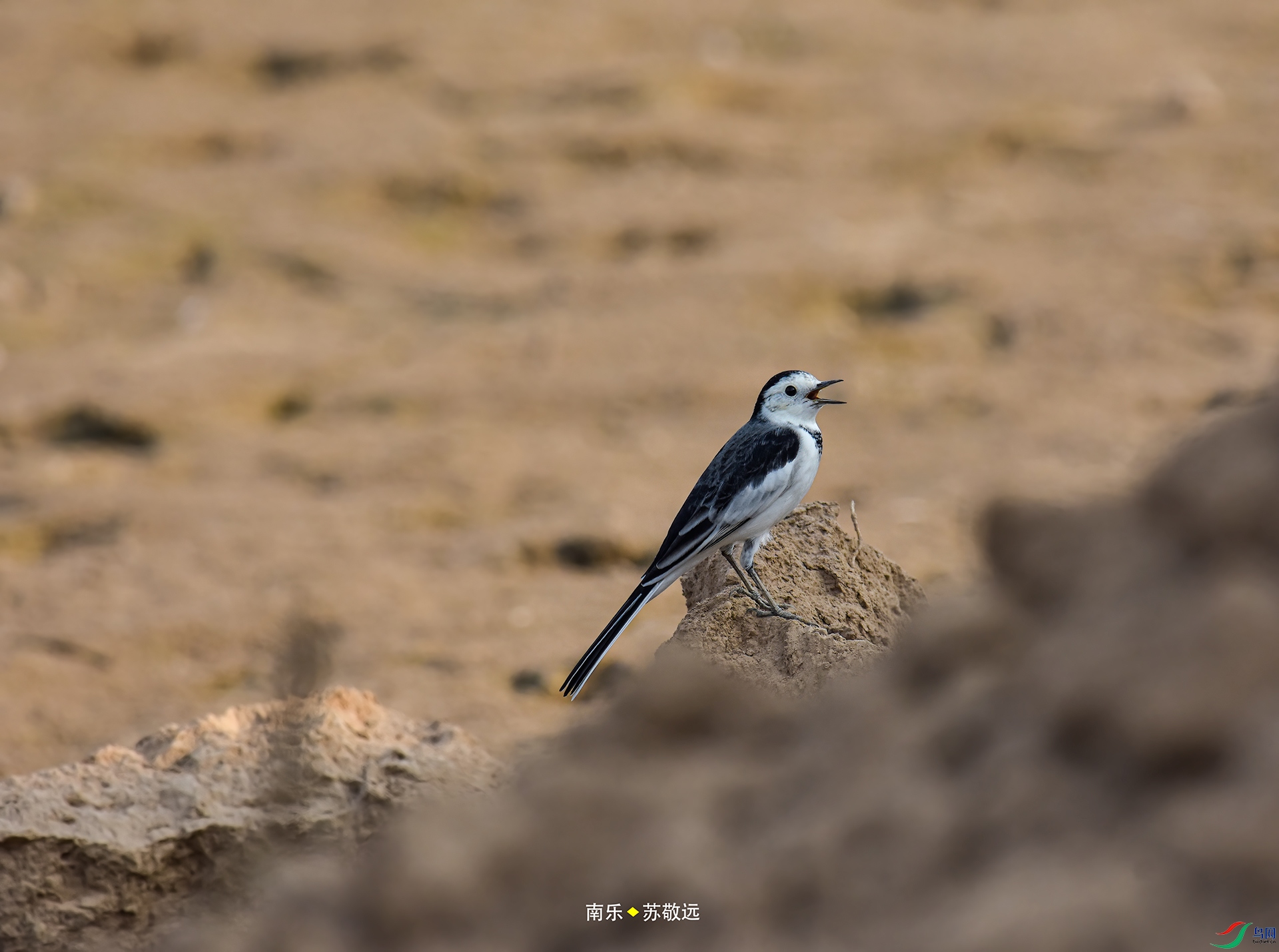 _DSC3397С.jpg