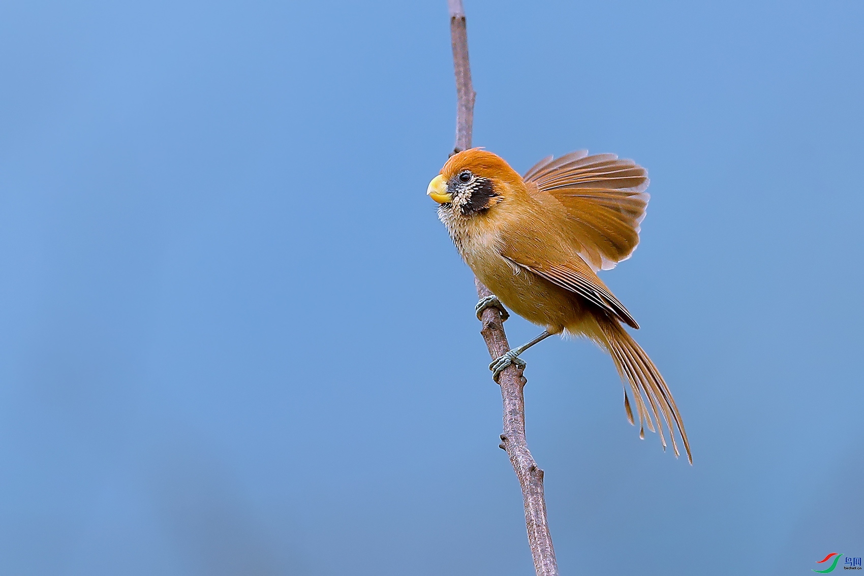 ����  ��ʦ�����ڹ���ʡǭ�ϲ��������������� ������.jpg