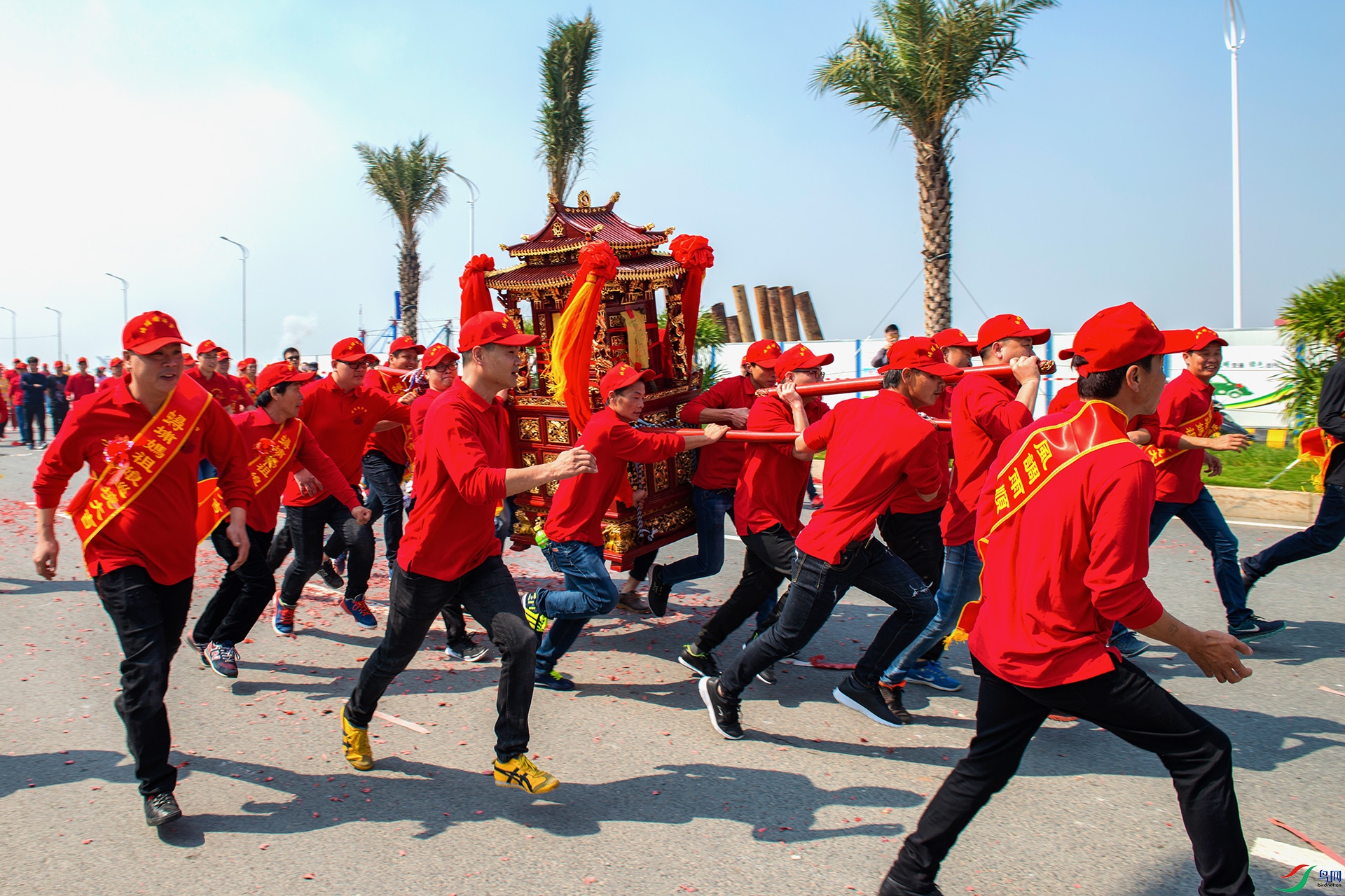 出巡(祝贺佳作荣登首页精华)