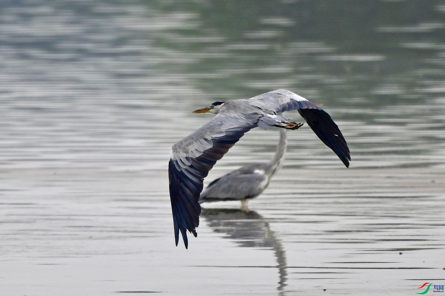 DSC_9119.jpg