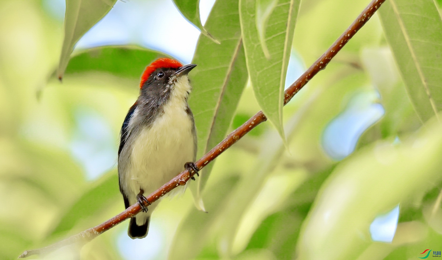 DSC_5324a.jpg