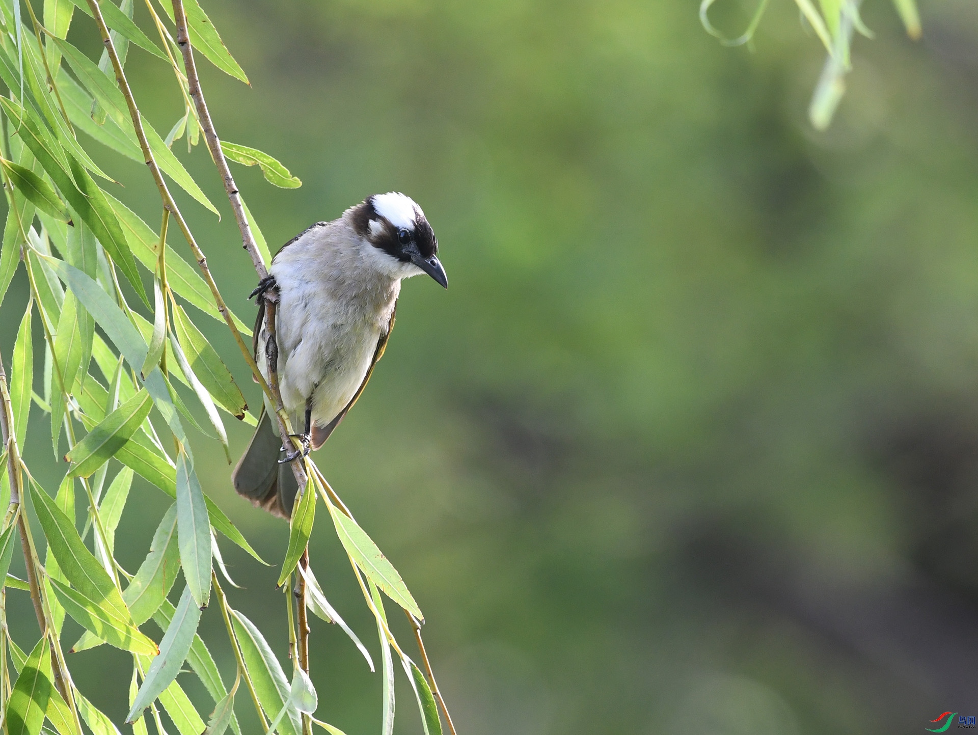快乐摄影 3652副本.jpg