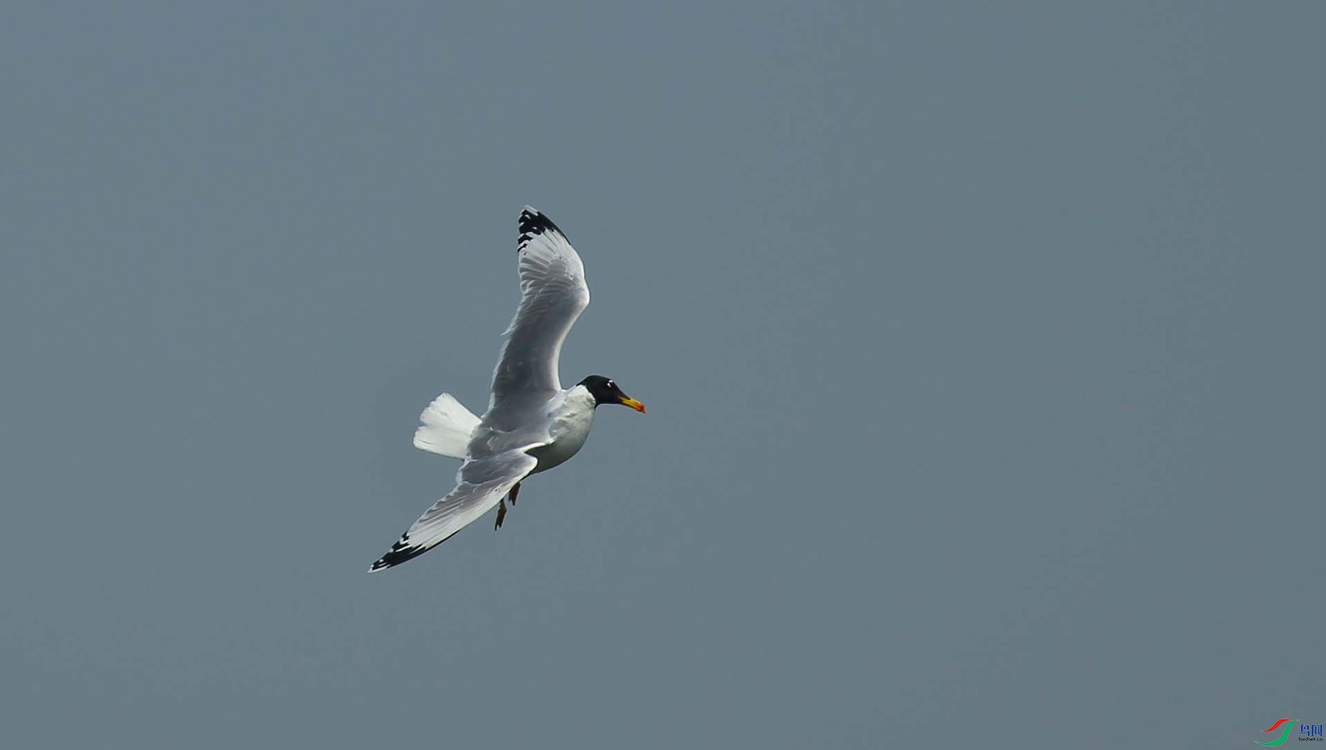 IMG_6487.JPG