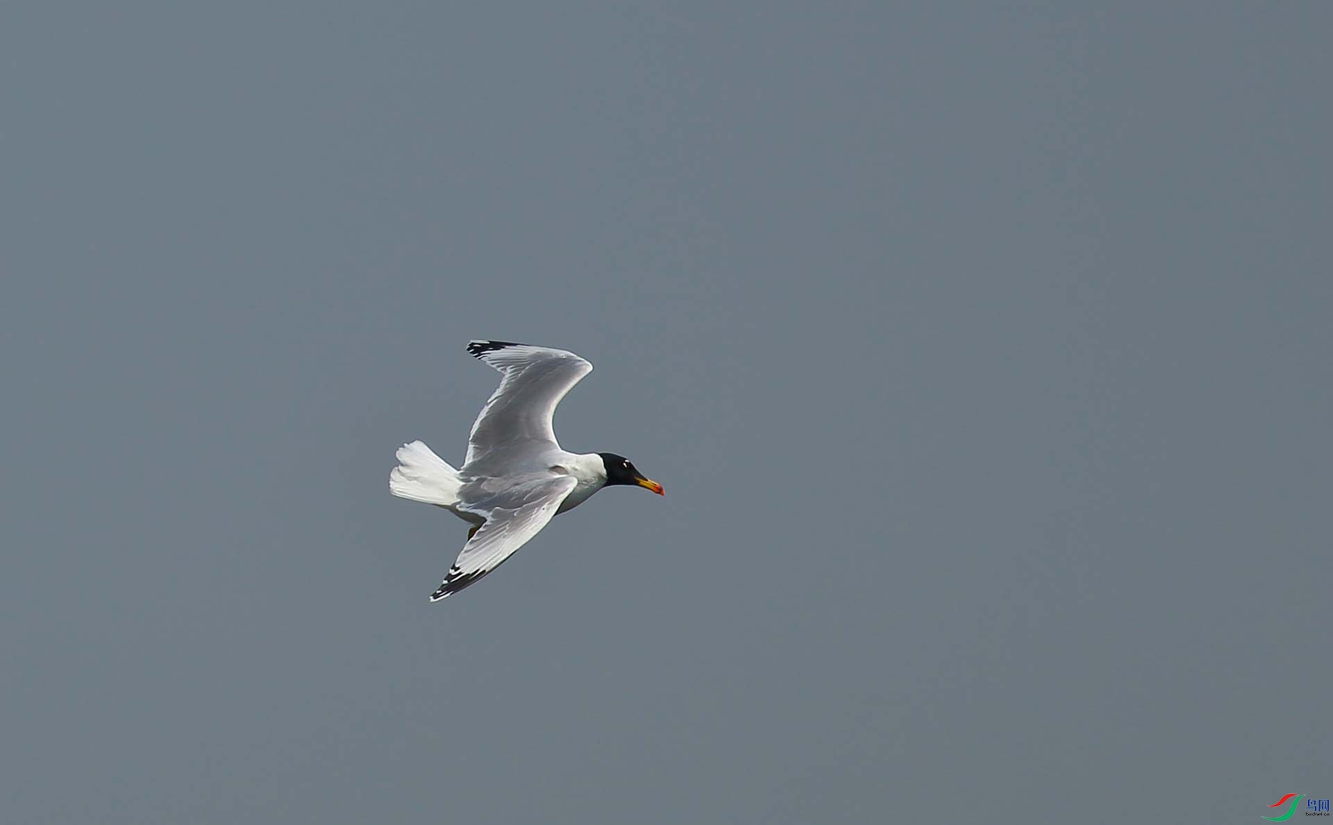 IMG_6488.JPG