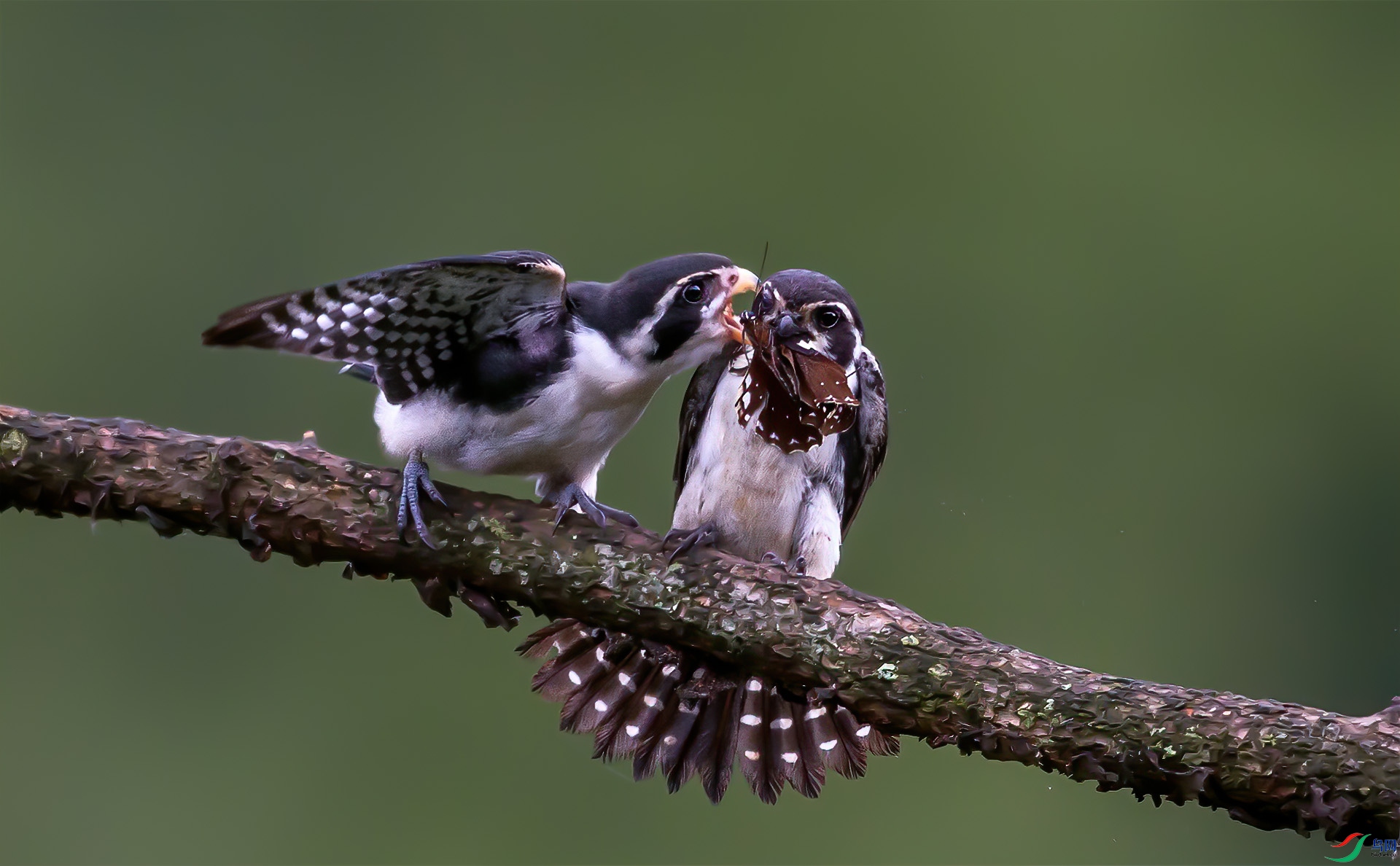 _U5R6451-1.jpg