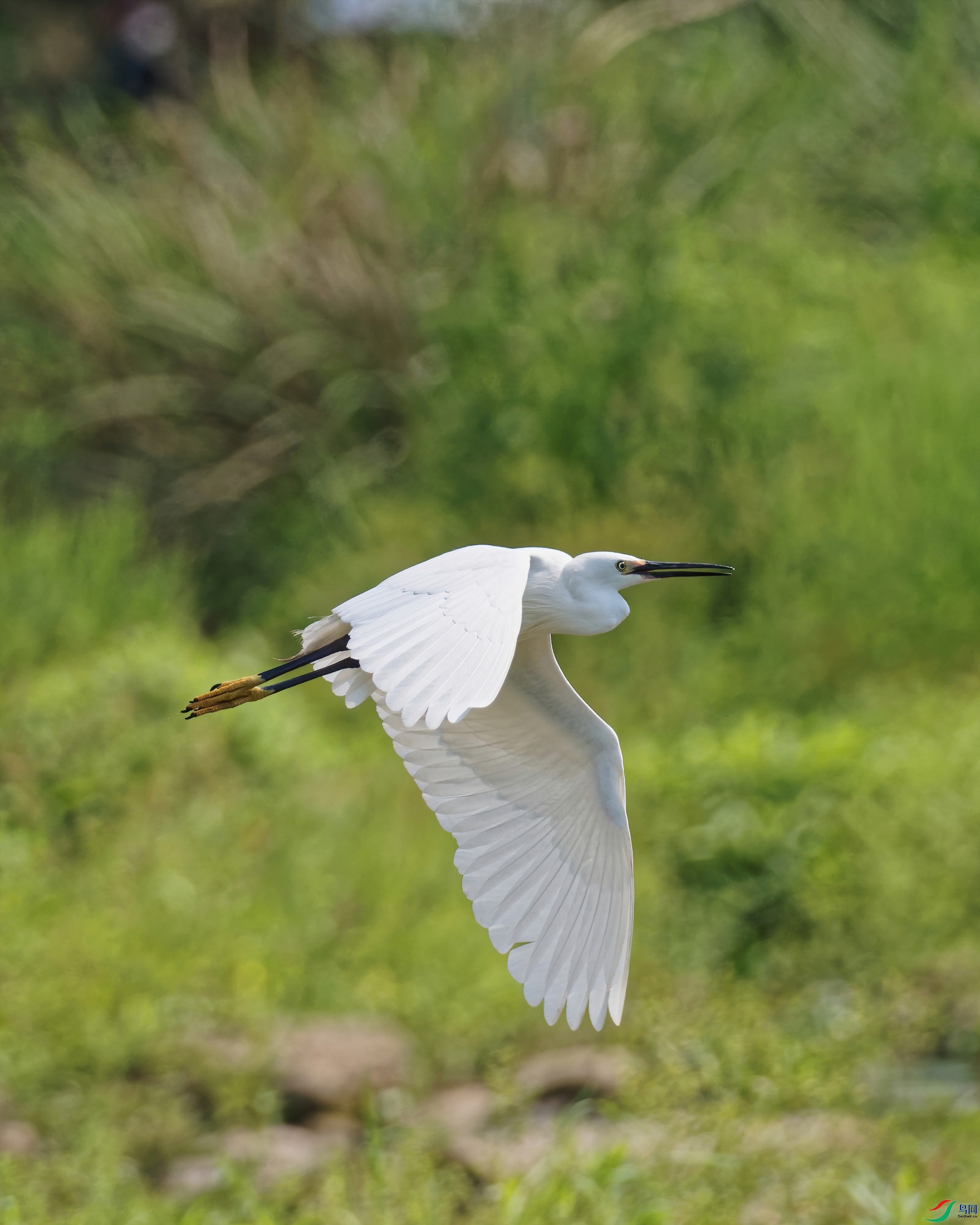 P4220029_DxO-sd2.jpg