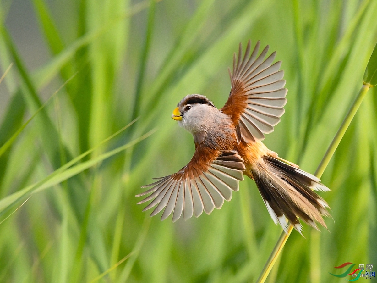 ����  ��ʦ�����ڱ����д�����.jpg