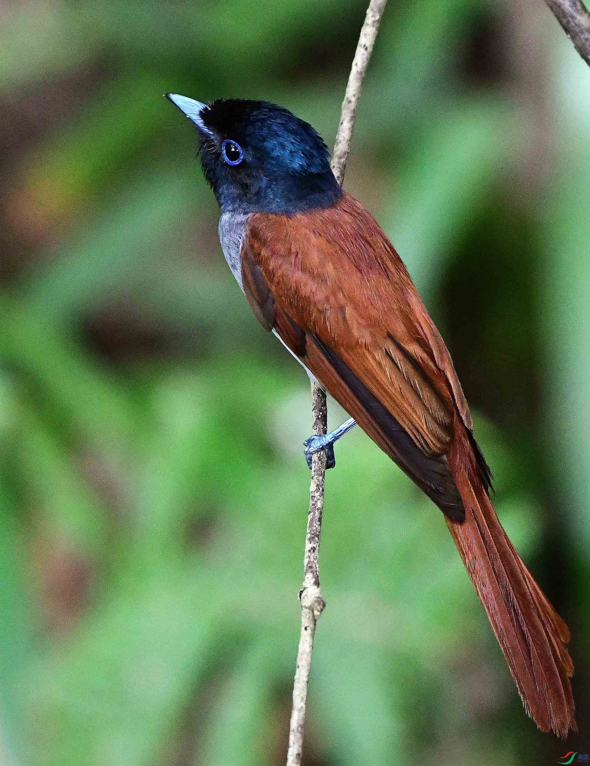DSC_3465_����.jpg
