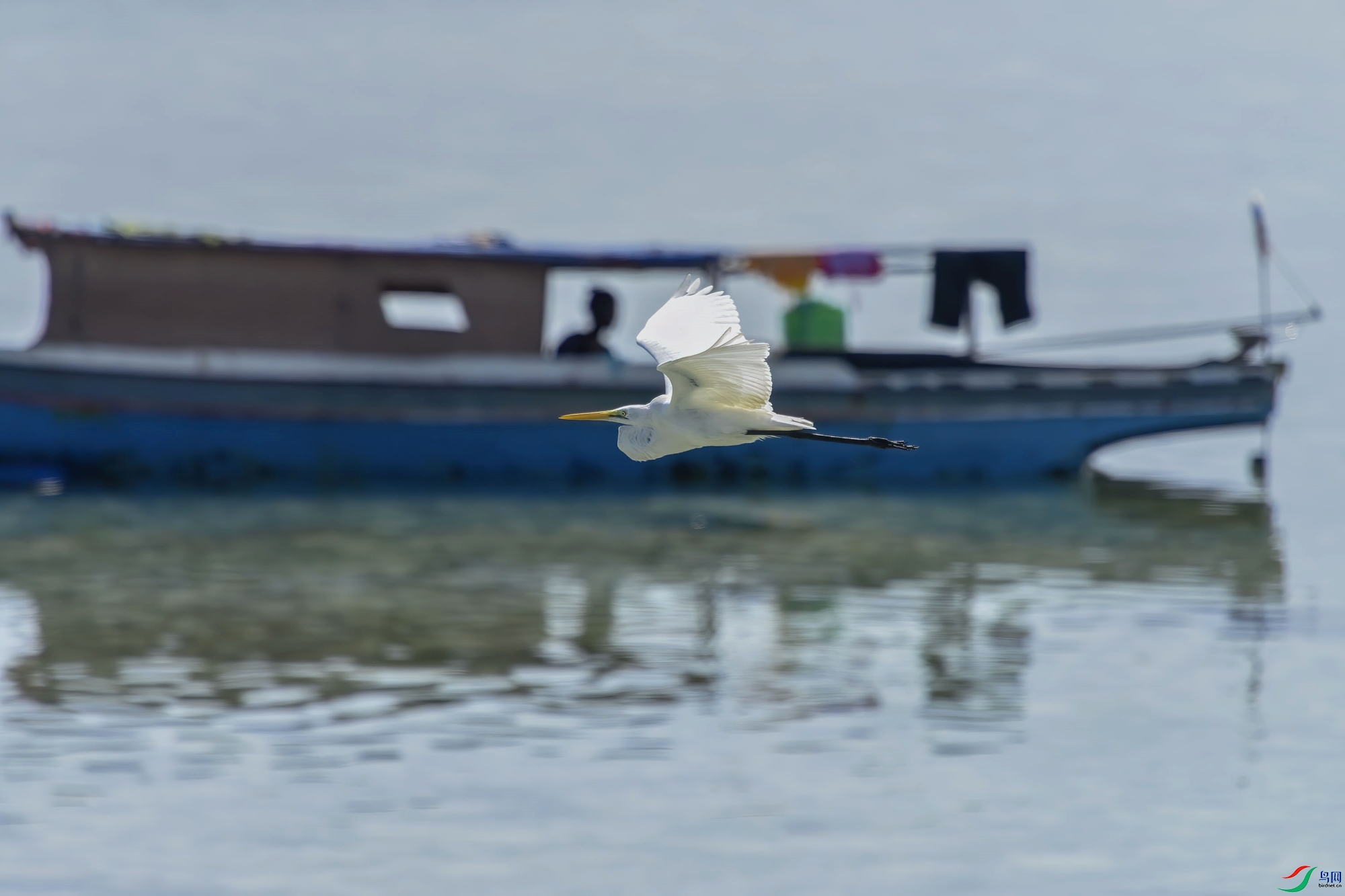 DSC_6478_����.jpg
