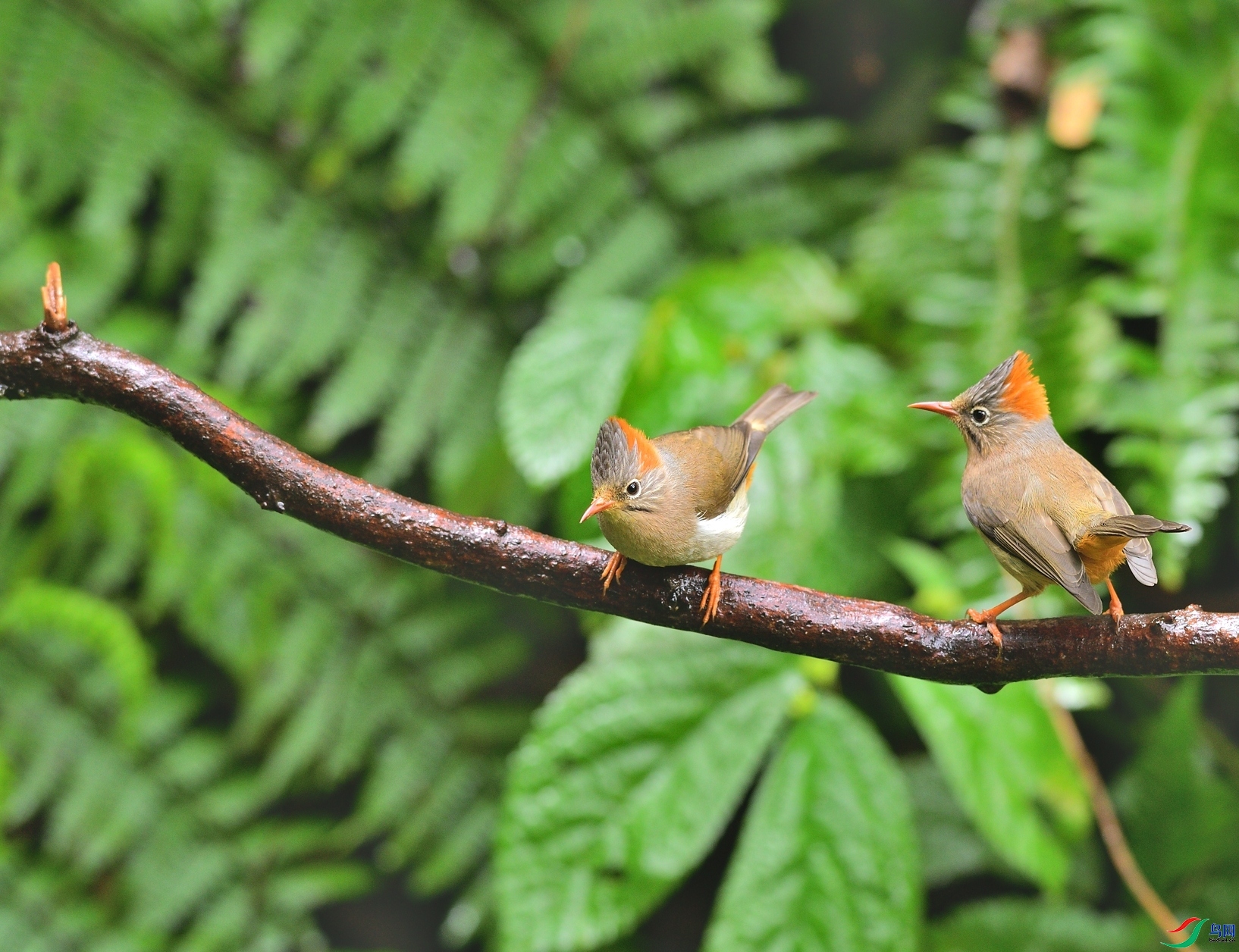 �����ɹ�  ��ʦ����������ʡ��ɽ���ڳ���.jpg