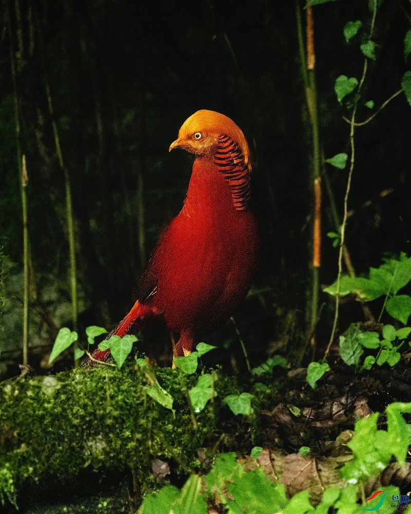 DSC_7613.jpg
