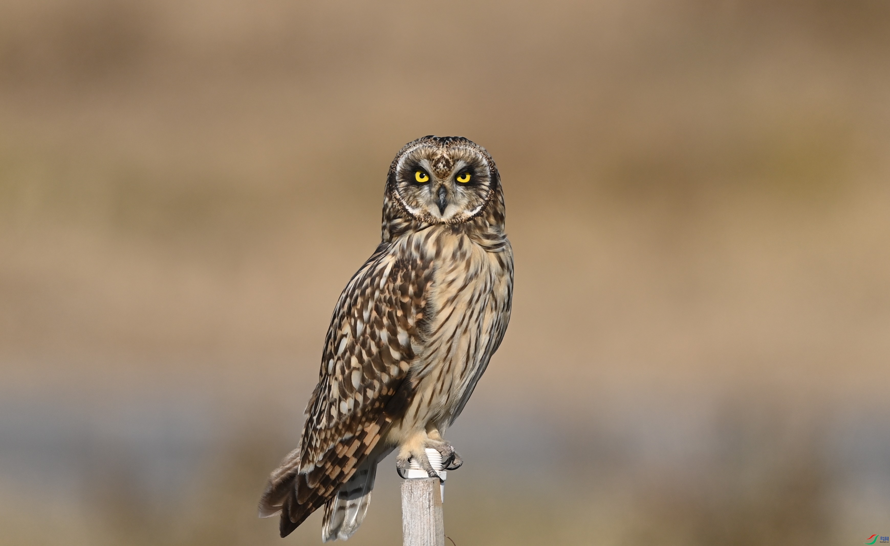 DSC_7728.JPG