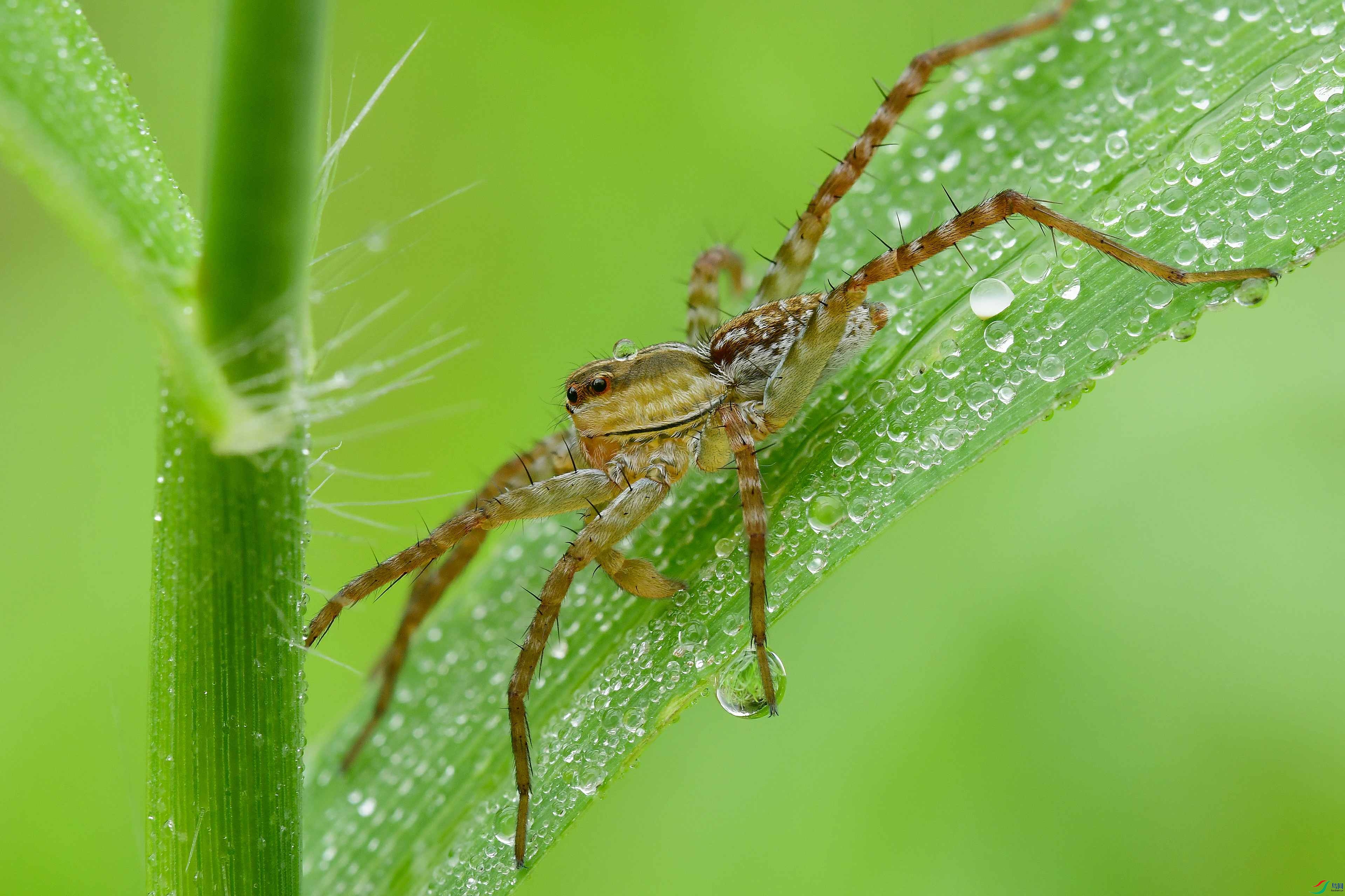 2021-08-25 13-11-38 (B,Radius8,Smoothing4)2_����.jpg