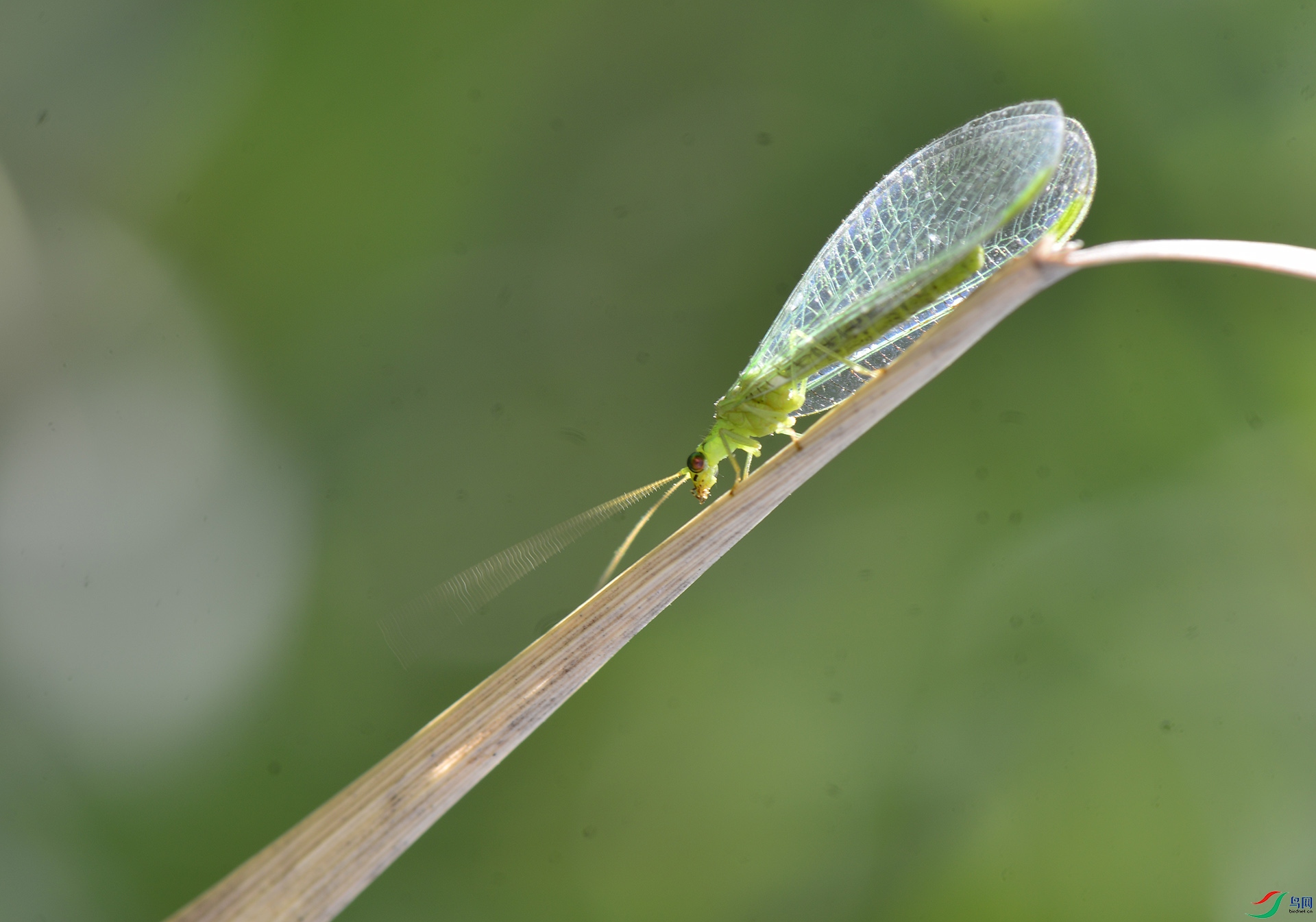 ������Ӱ 5343����.jpg