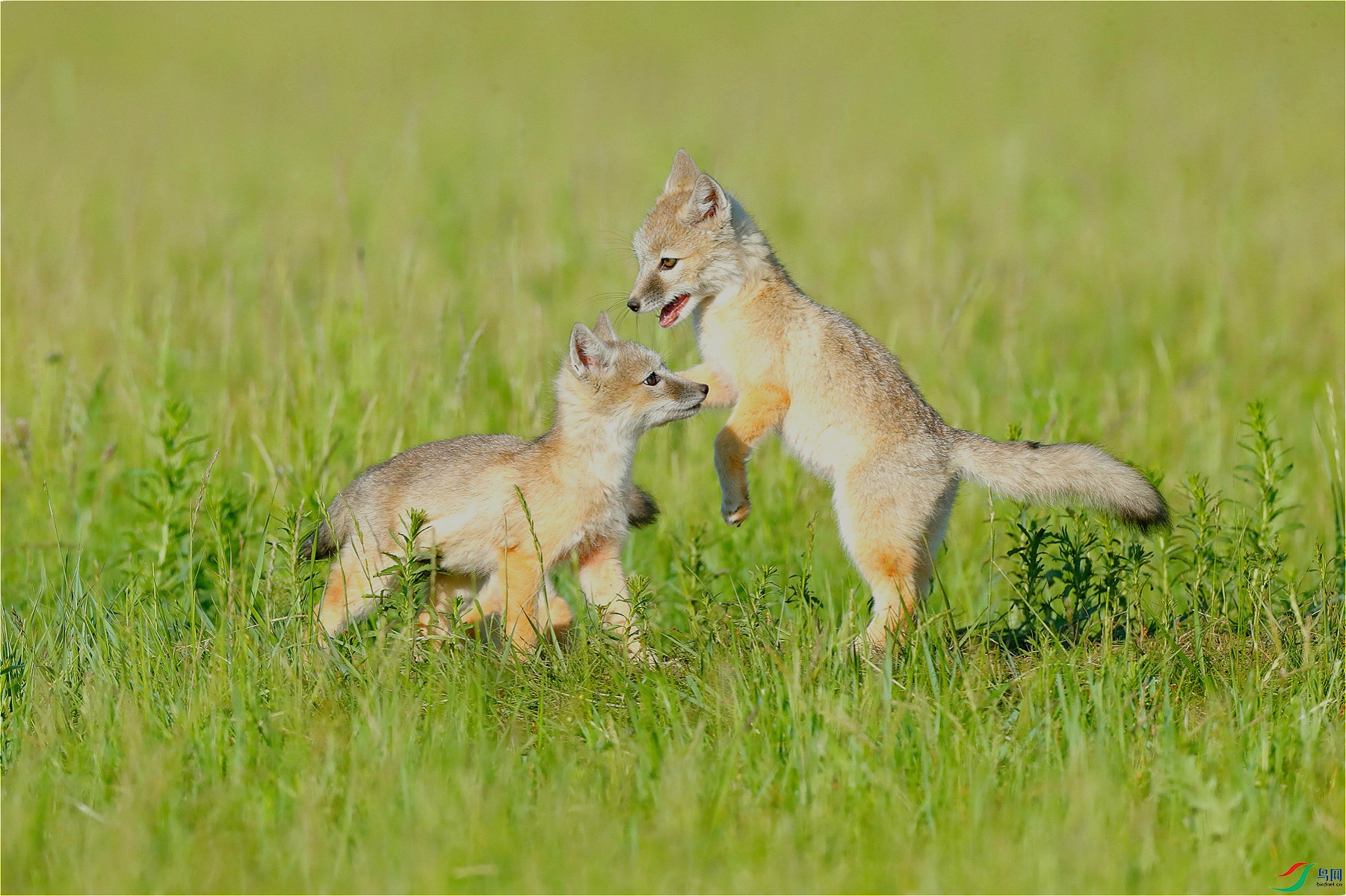 _I4I9733 (1)_meitu_35.jpg