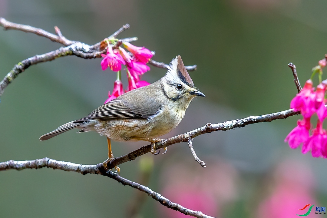 ��������  ��ʦ������̨**��.jpg