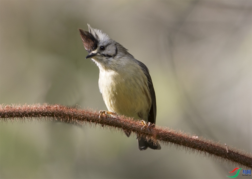 ��������  ��ʦ������̨**��.jpg