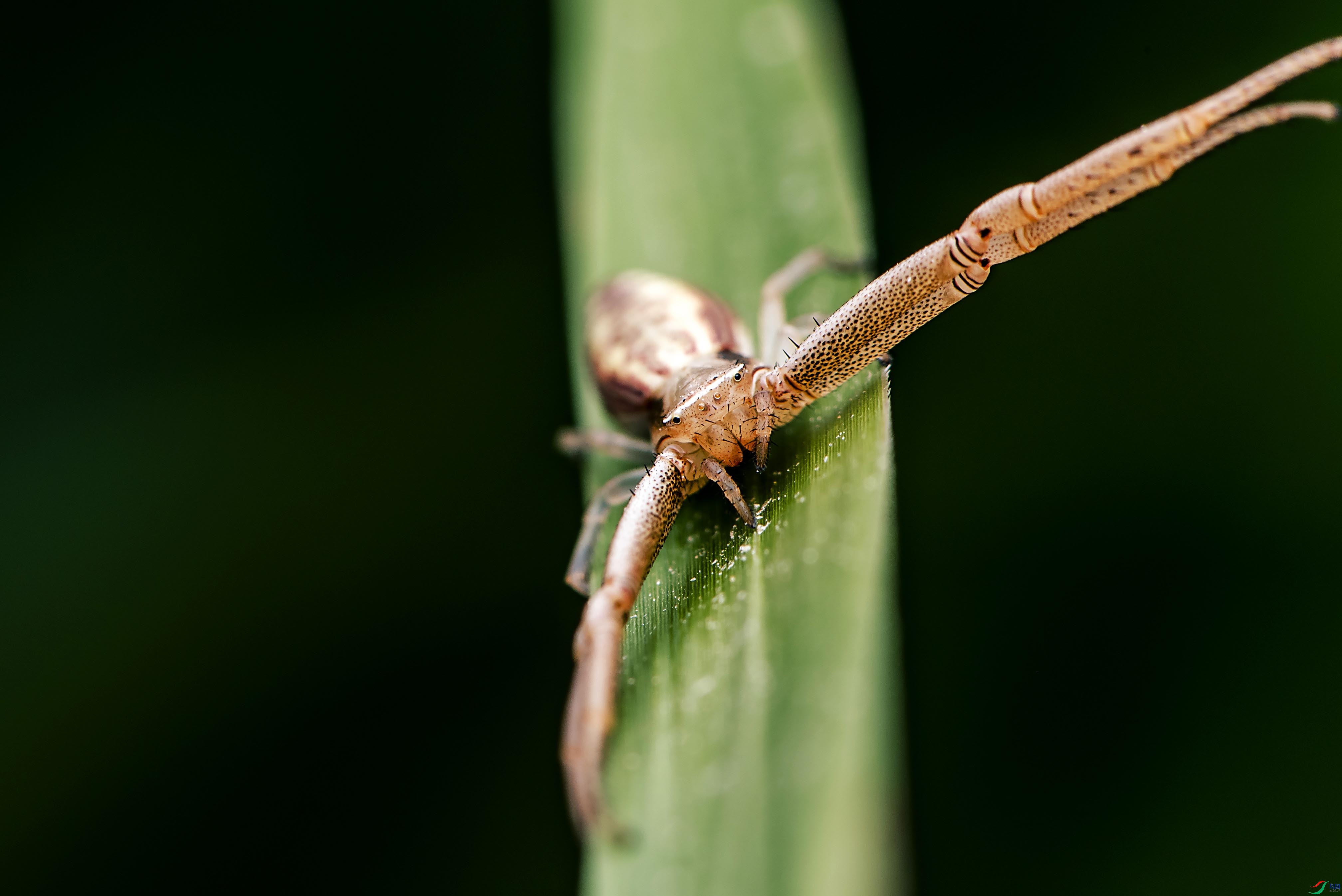 DSC_5048.jpg