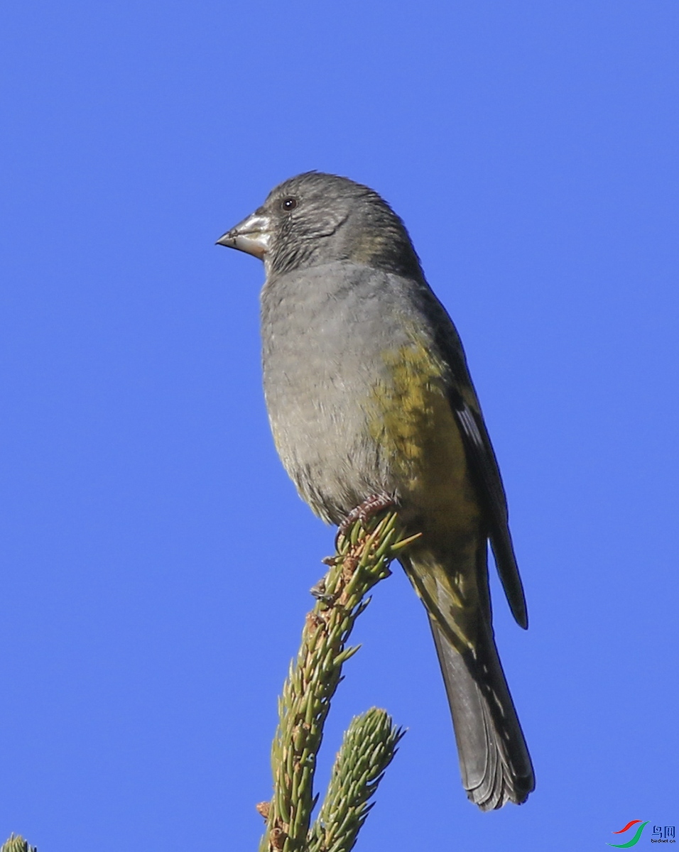 �׸��� (29)����.jpg