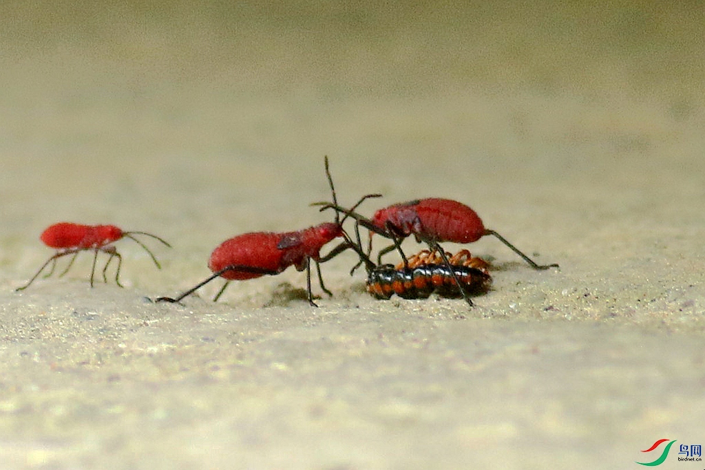 367A2255_����.jpg