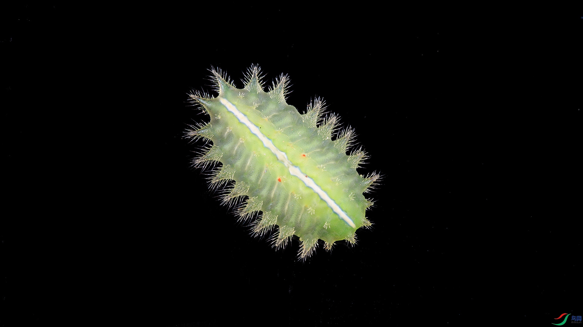 5D3_9734 ���� 2.jpg