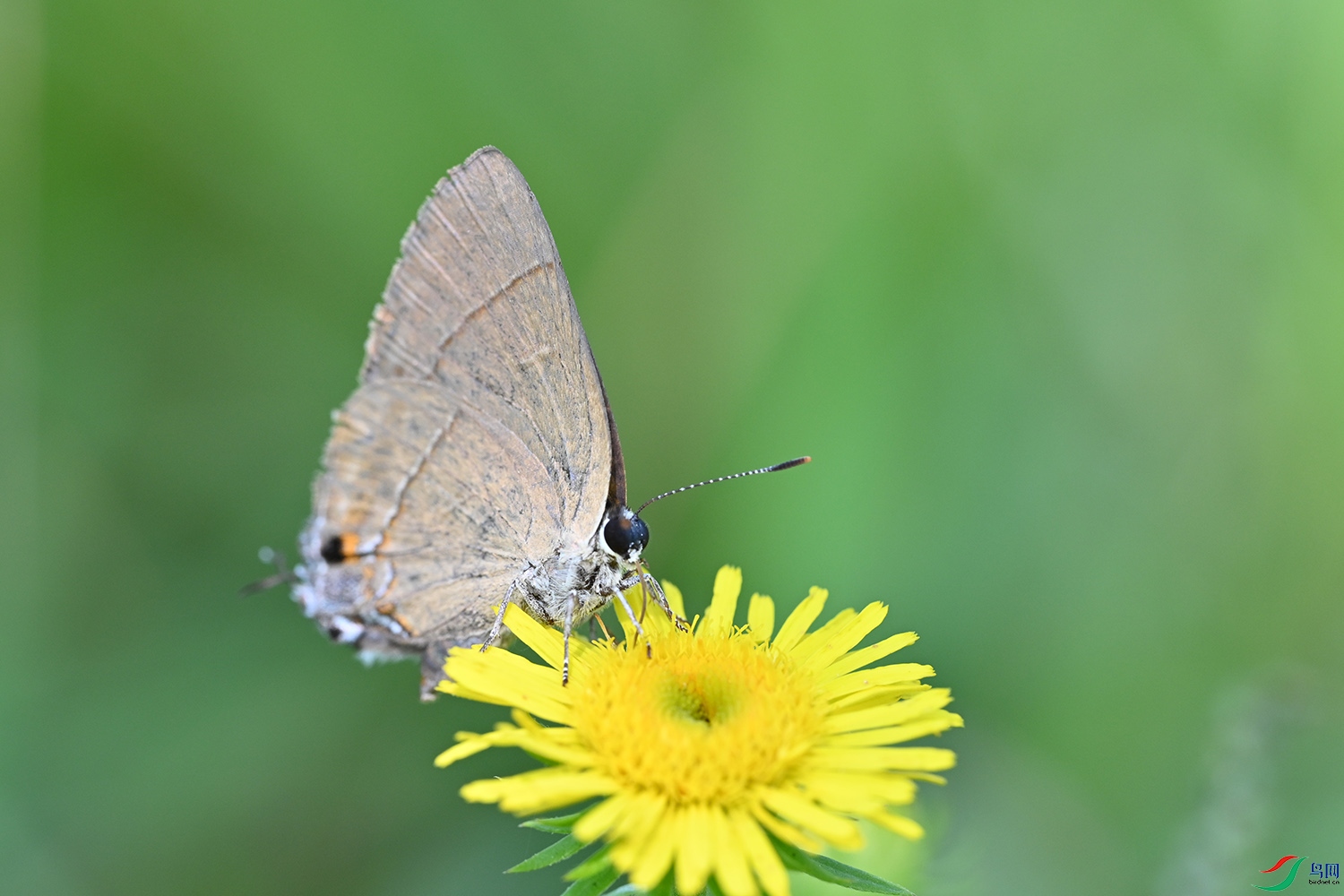 DSC_1867.jpg