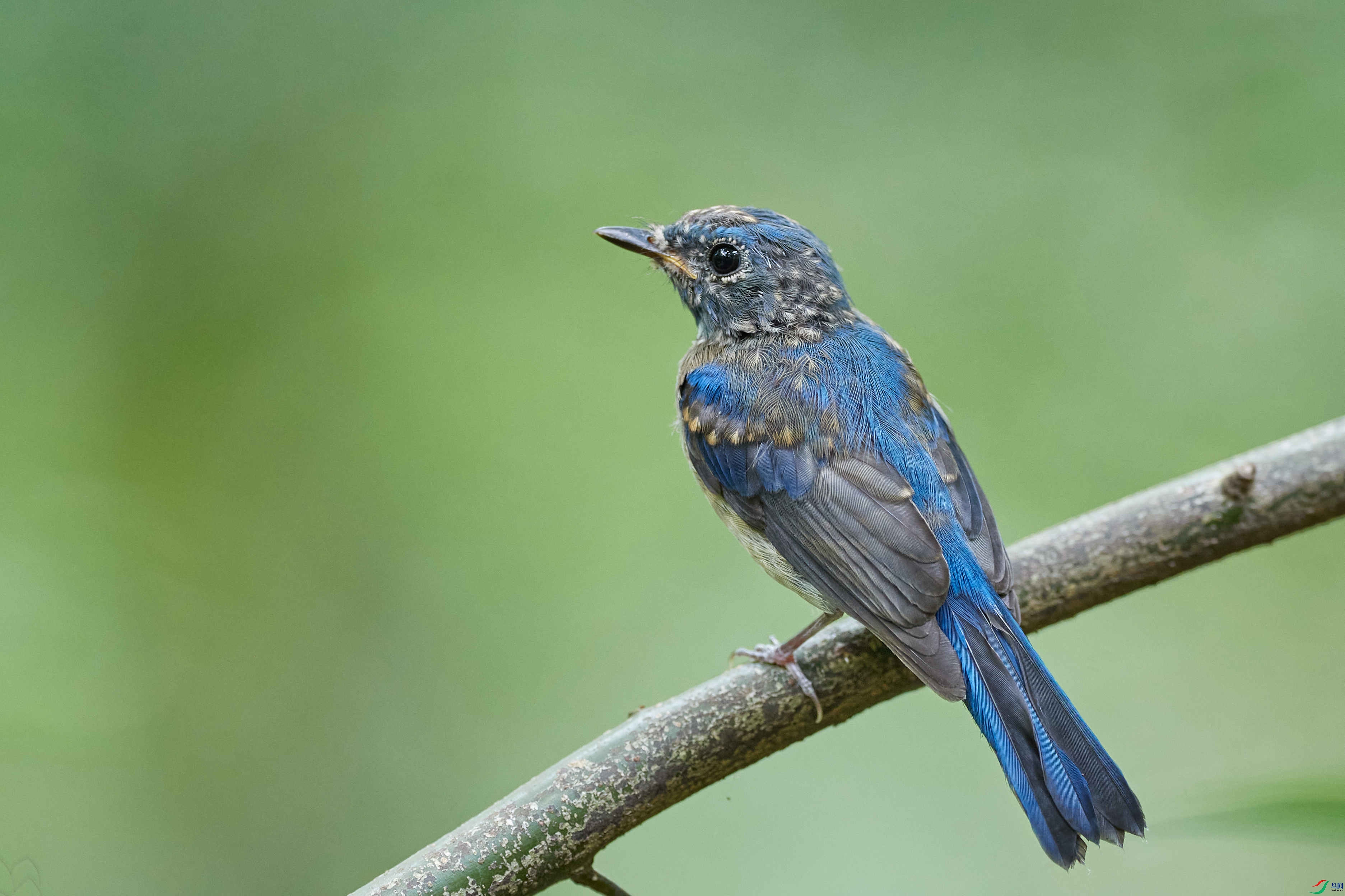 ���������l