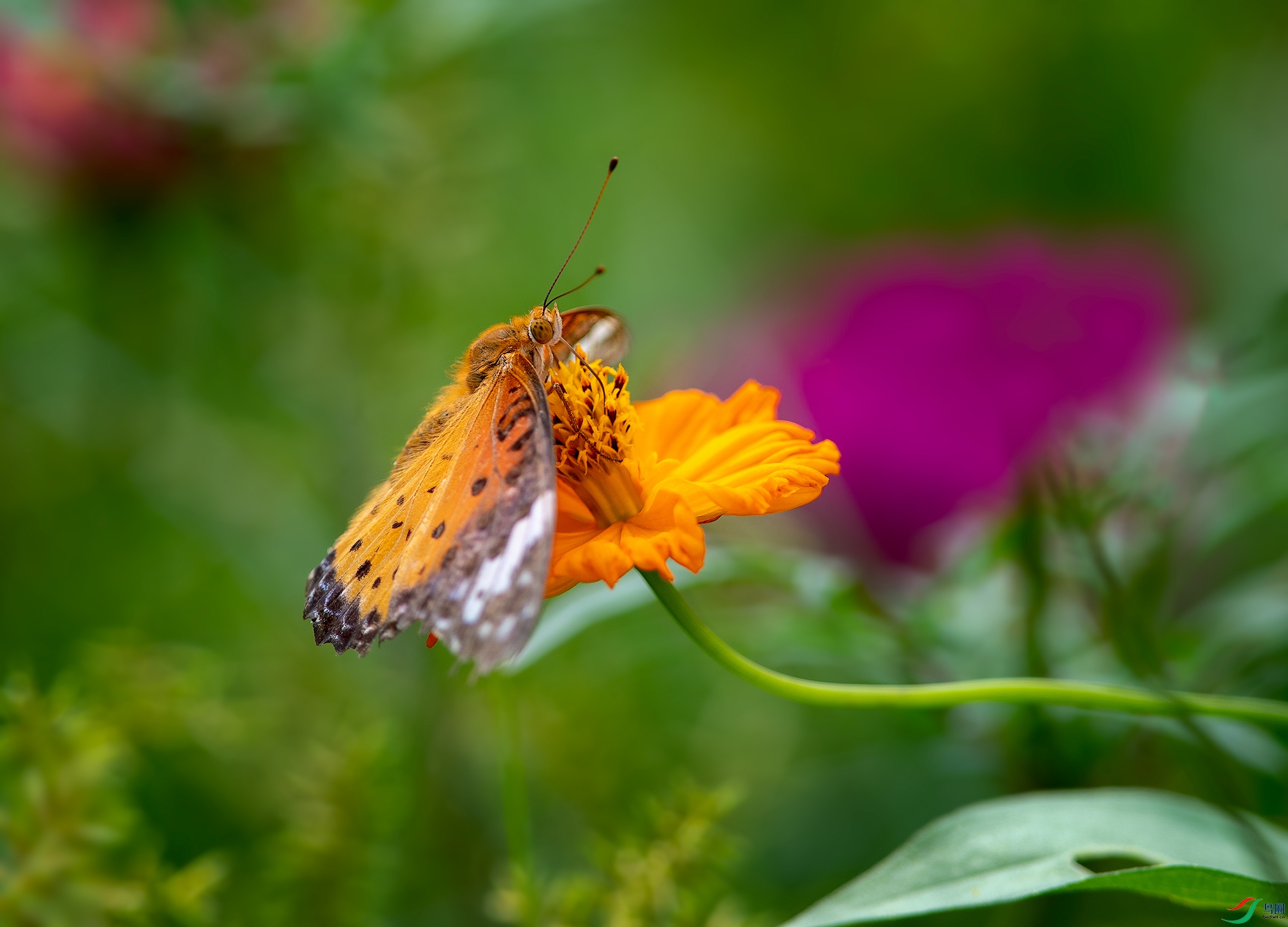 A11I689013.jpg