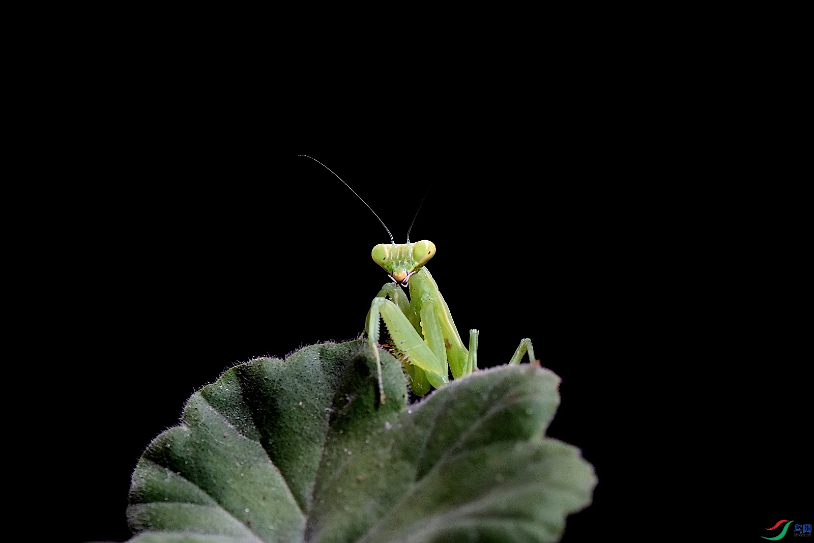 DSC_5117_00003.jpg