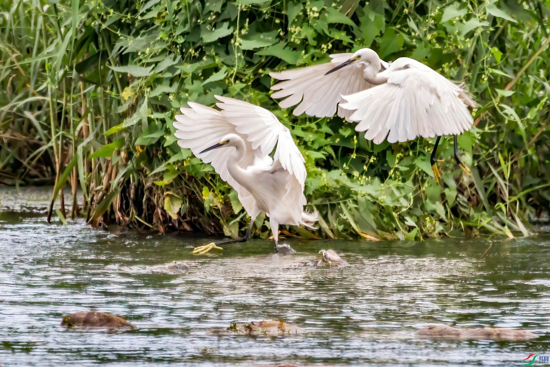 ���� (8)a.jpg