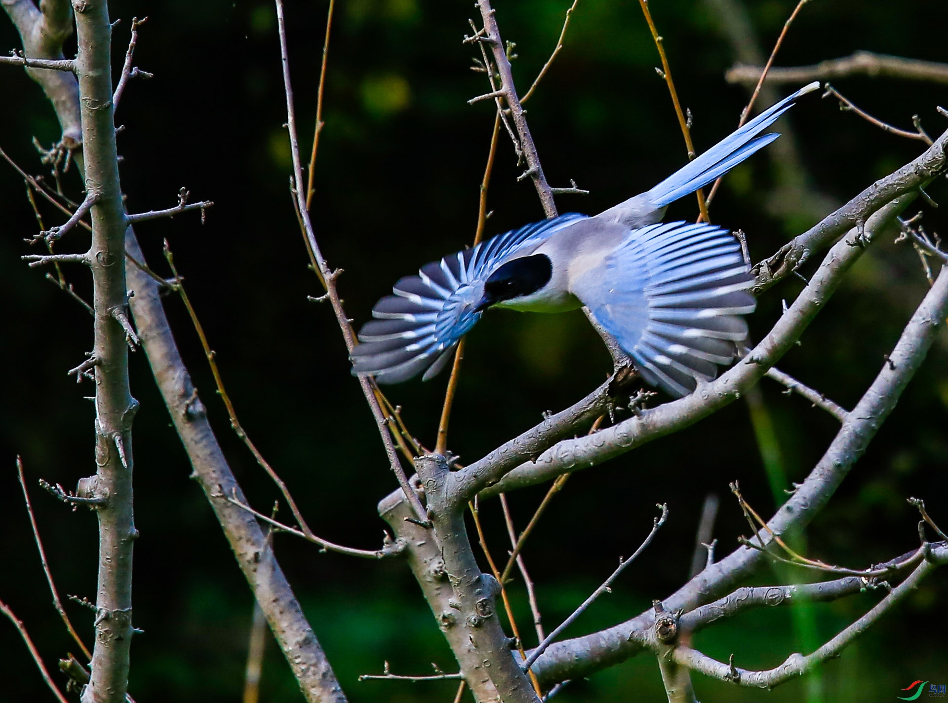 ����Ļ�ϲȵ