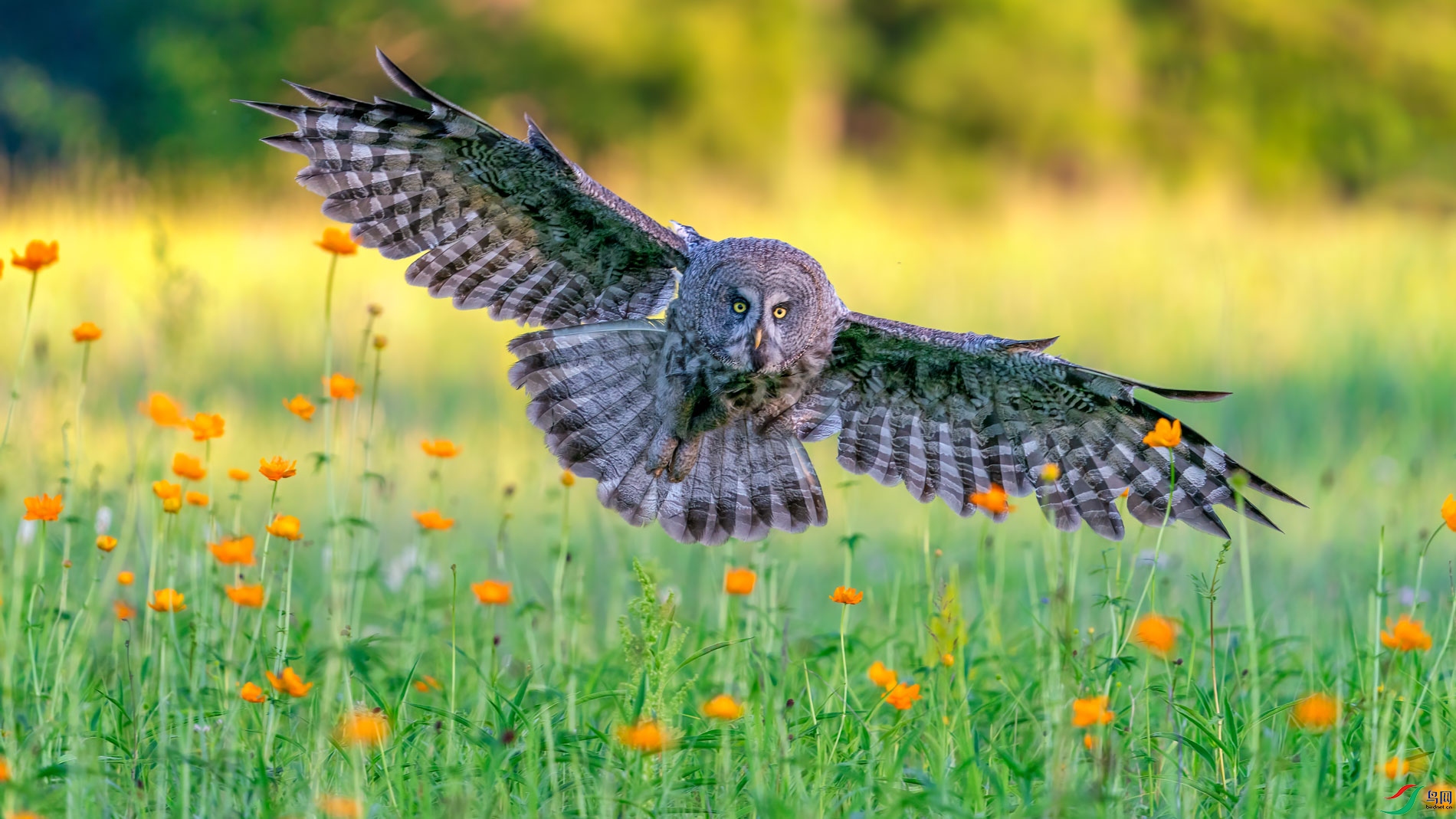 ��԰��İ��� 1.jpg