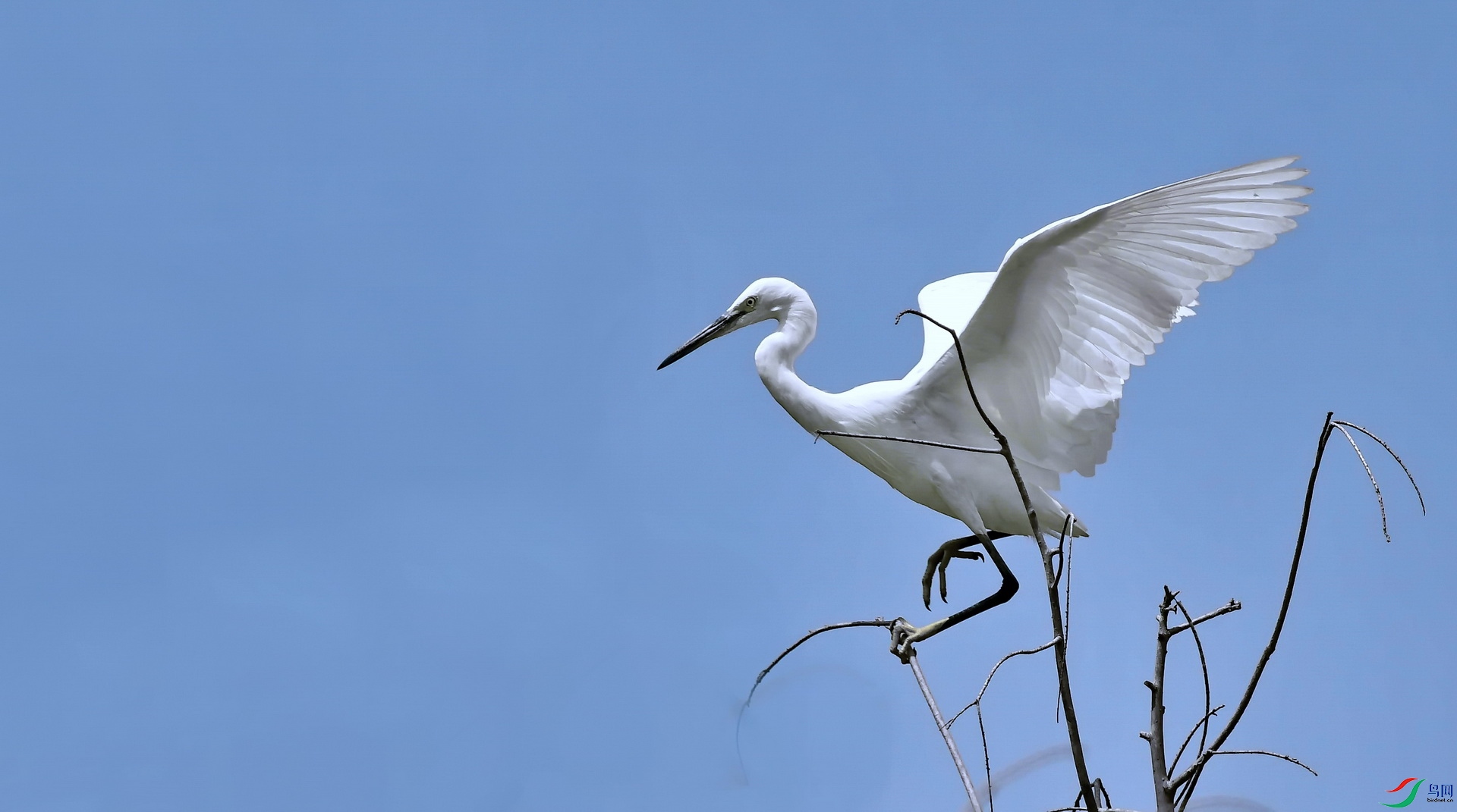 DSC_6914a.jpg