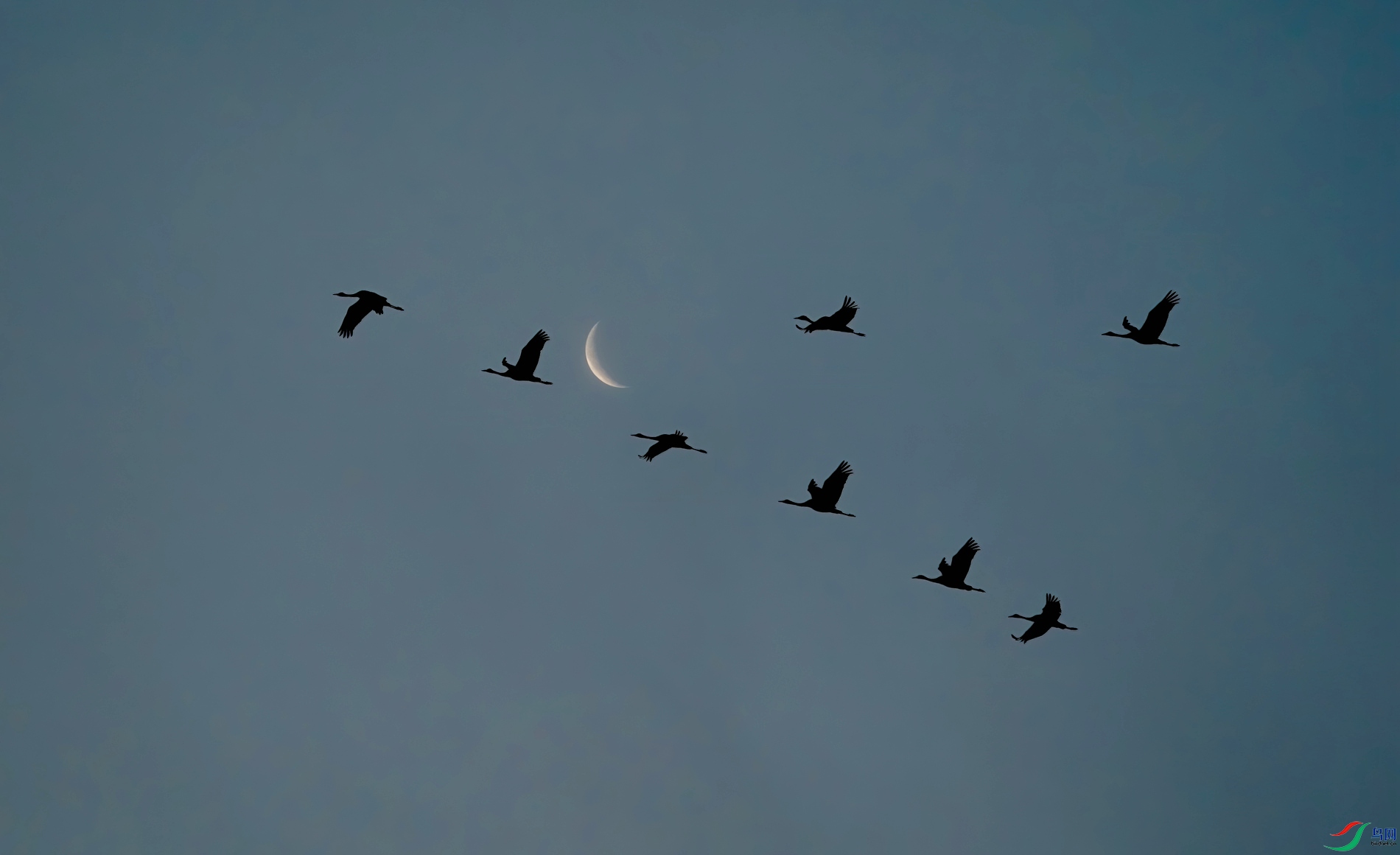 今年2月7日早晨6時在射陽海邊,天空潔淨,日月同輝.