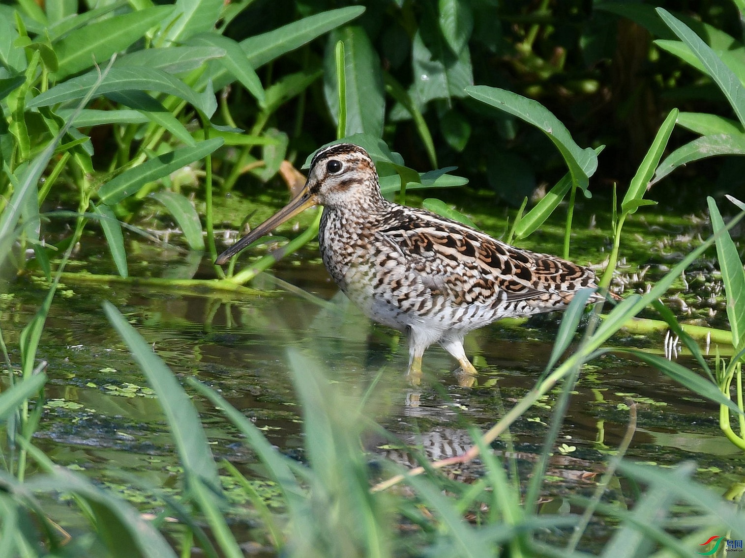 1��ɳ׶ (1)_����_����.jpg