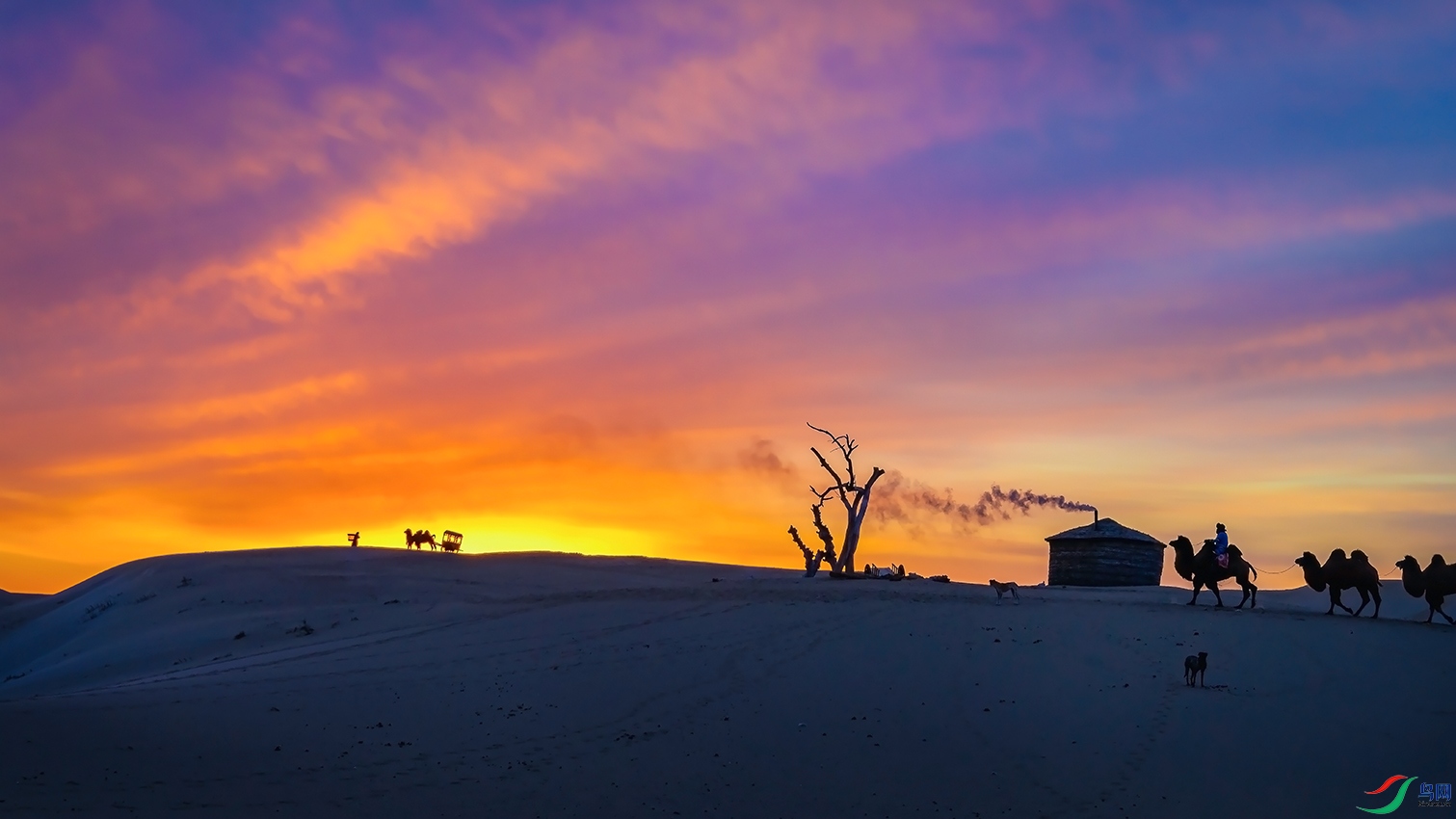 ���������ɹ�������