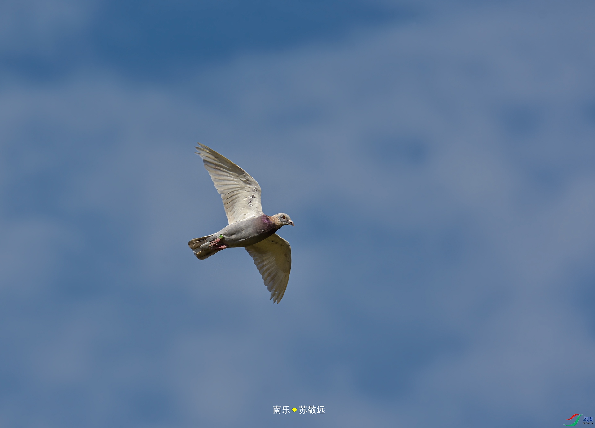 _DSC4362С.jpg